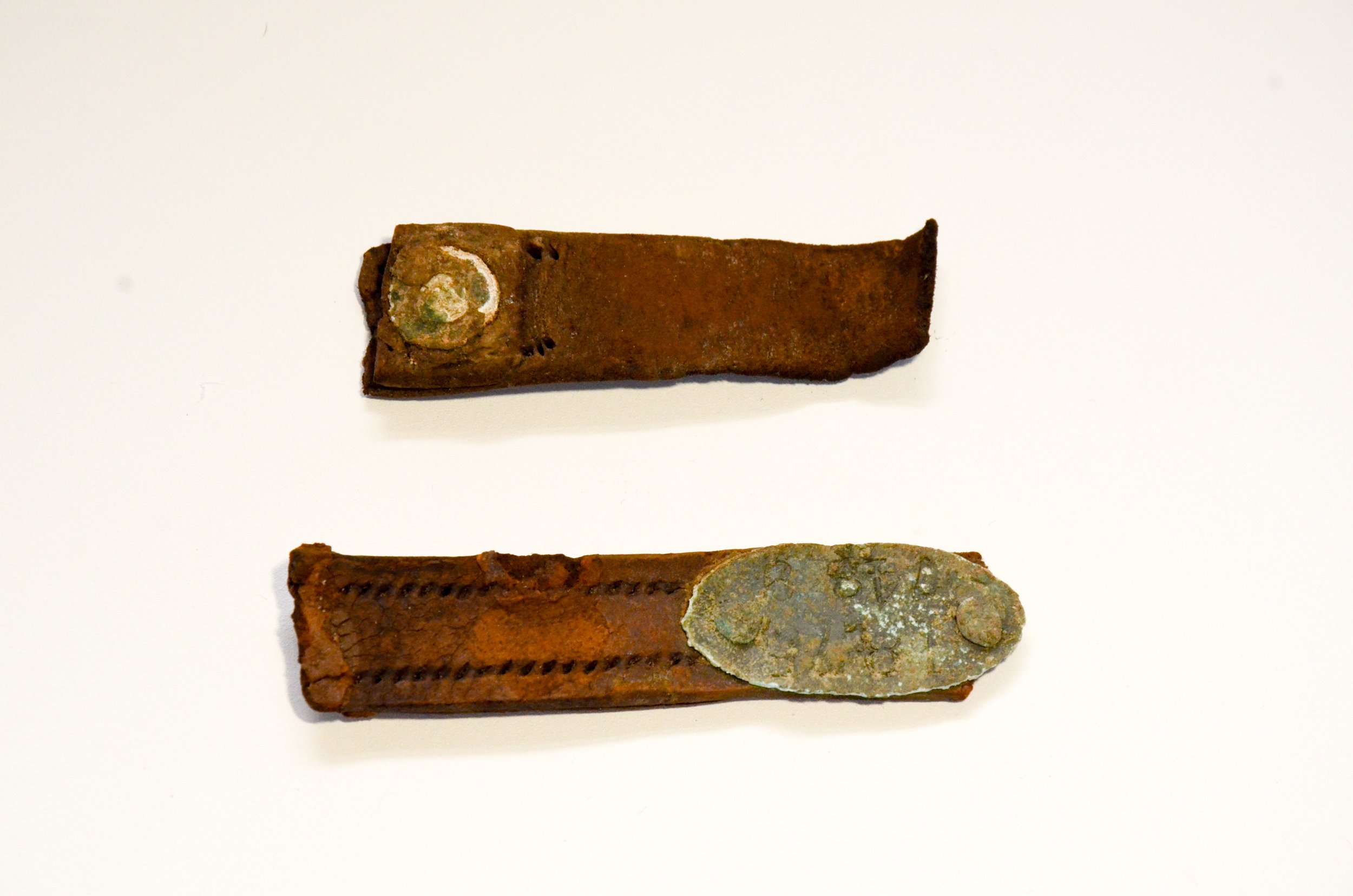 Dog Collar & Registration Tag