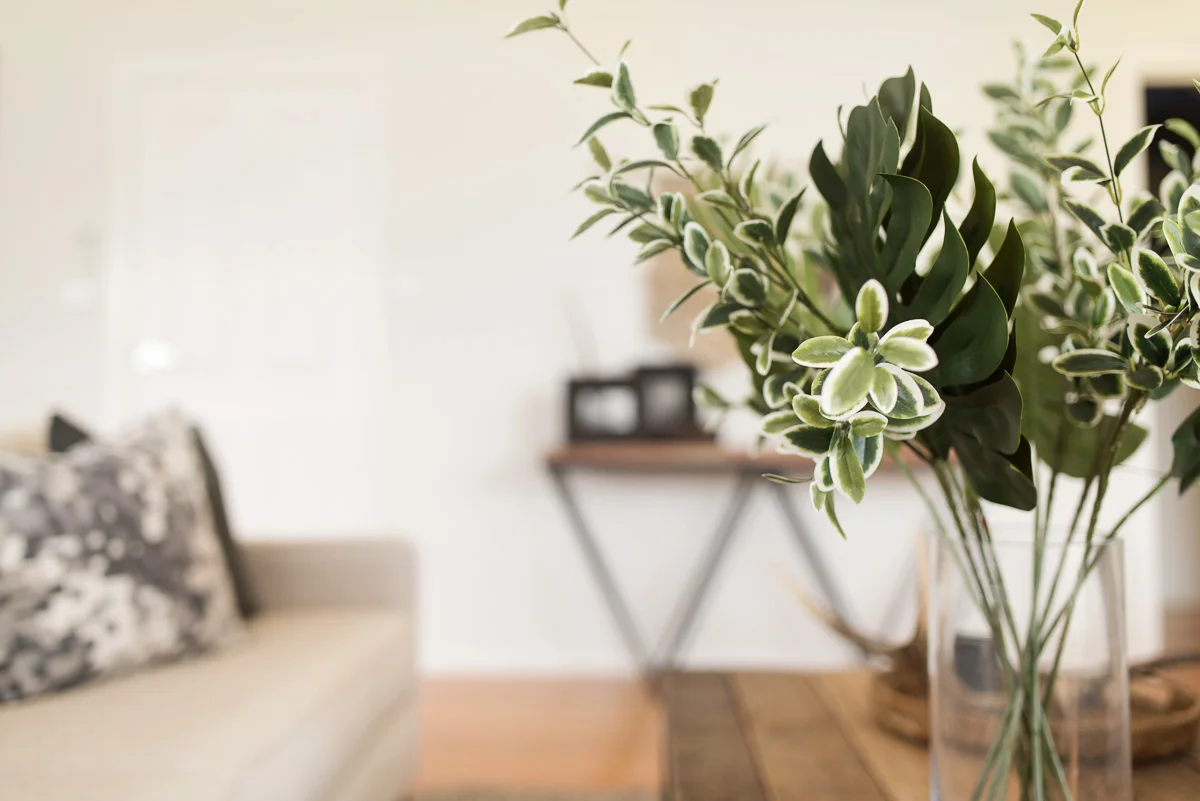 20161118_AlisonLewisInteriors_LivingstoneEltham_LR-6.jpg
