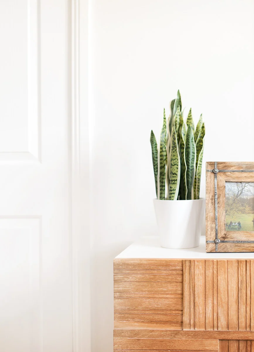 20161118_AlisonLewisInteriors_LivingstoneEltham_LR-57.jpg