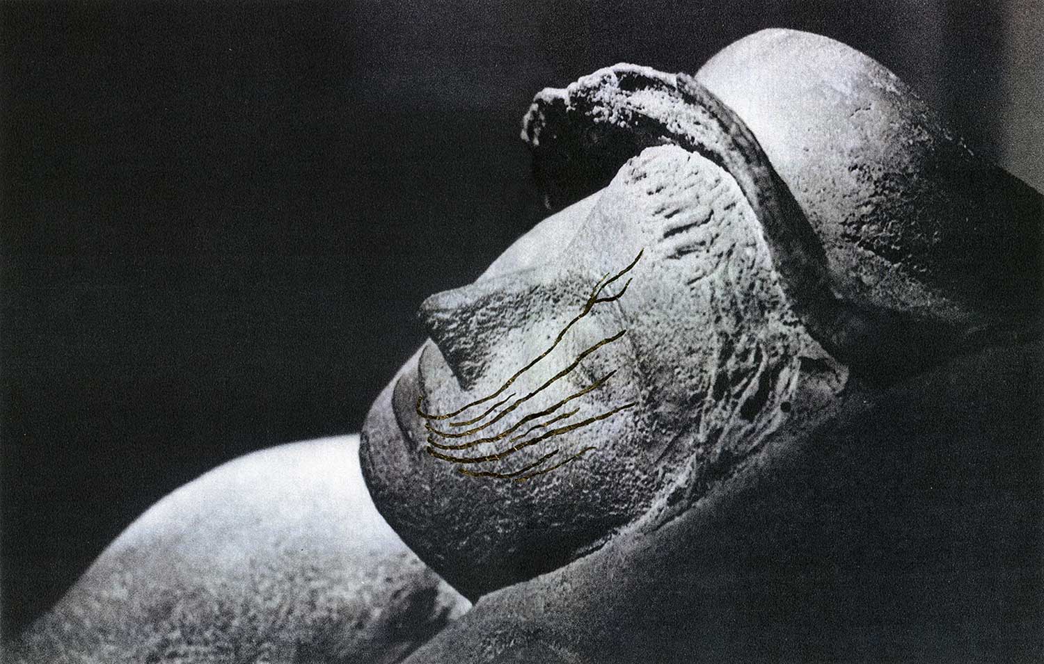 Ancient Sleep 2 , (from the series A Head of Stone Still Moves), inkjet print on paper from original paper collage, variable size, 2016