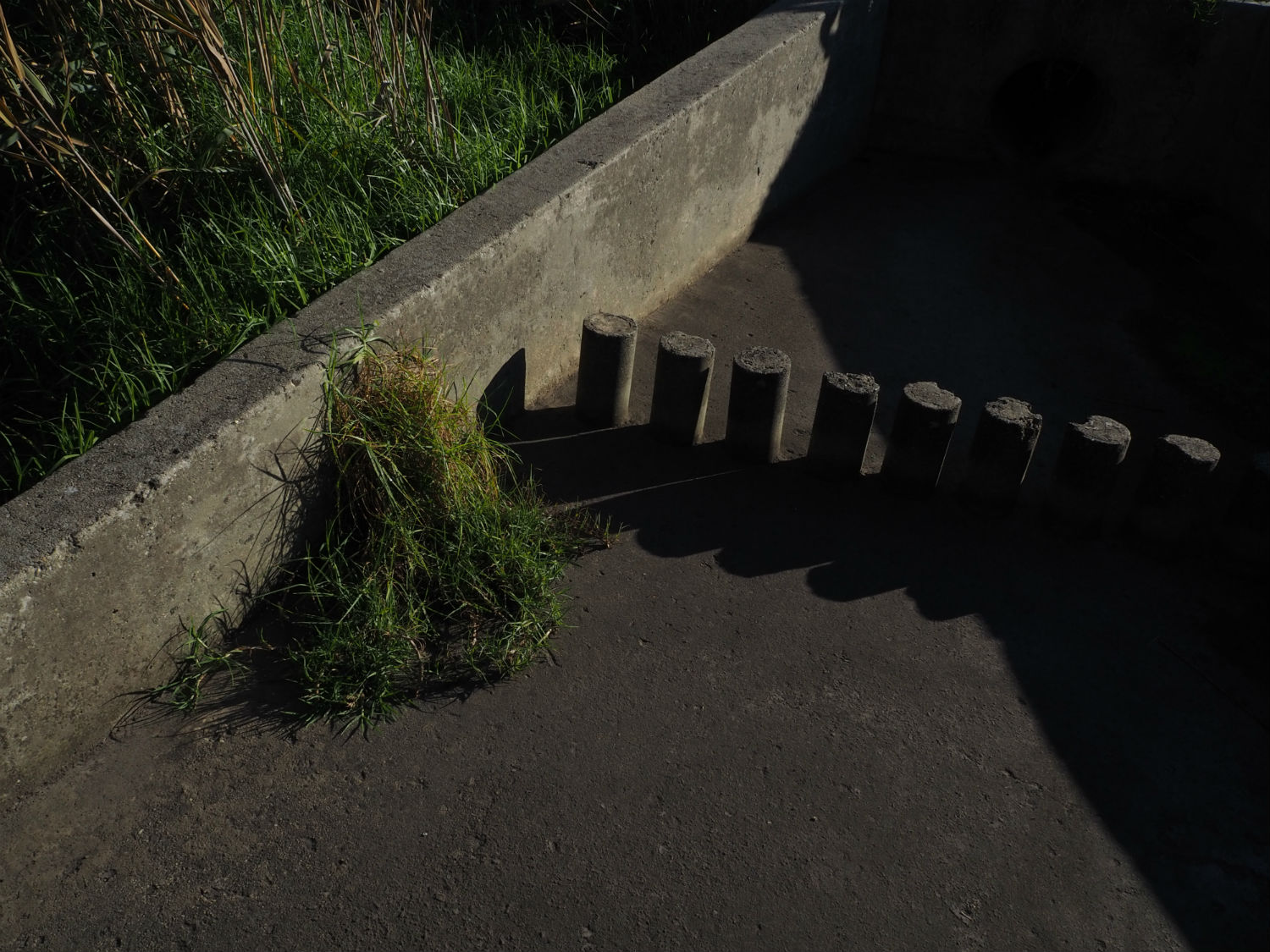Image 9.jpg