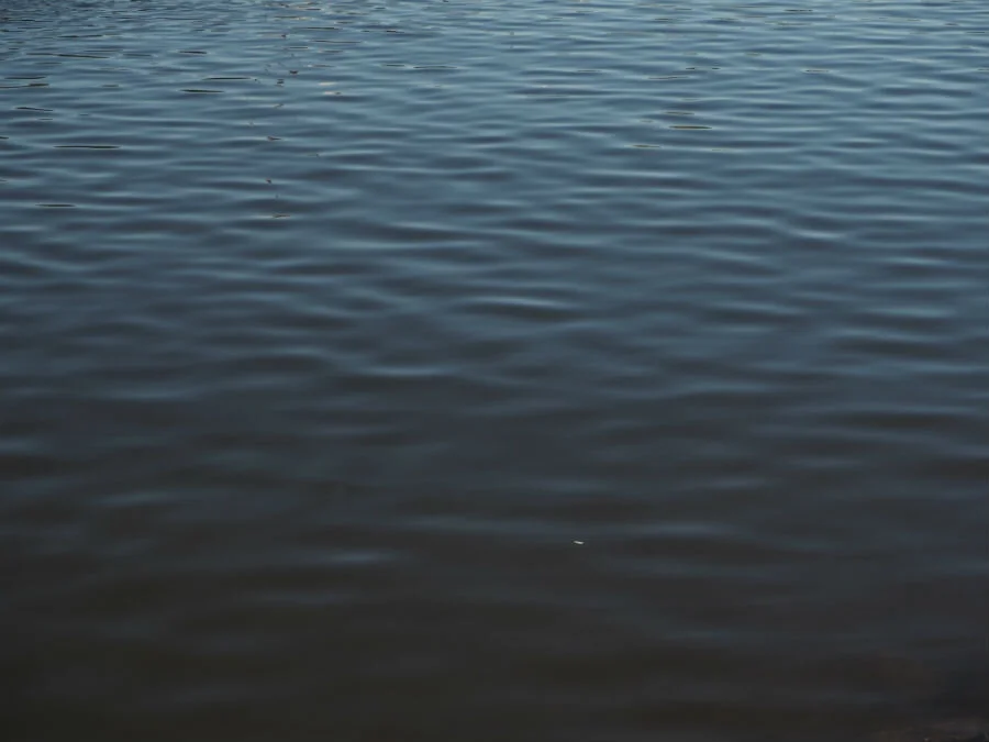 P2224574.jpg