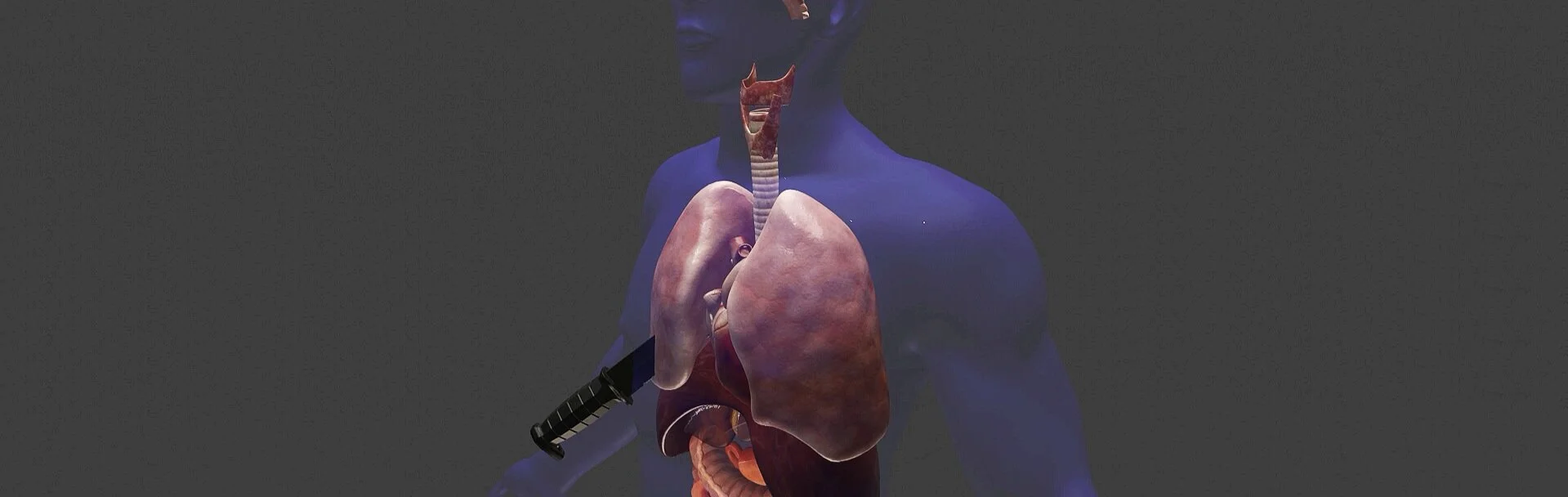 3D_InjuryMapping_Presentation2.mp4_20210715_125900.787.jpg