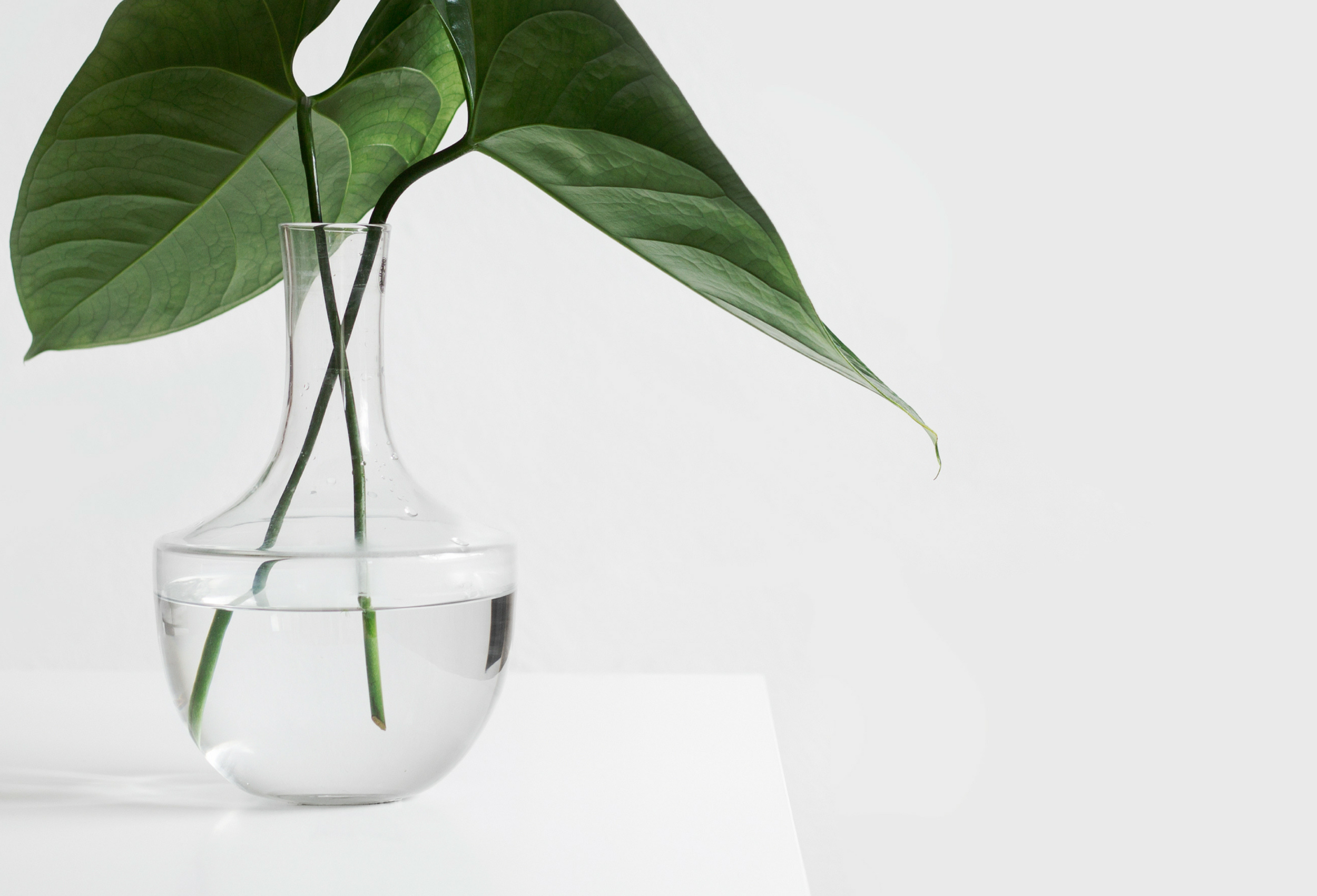 Untitled design (1).png