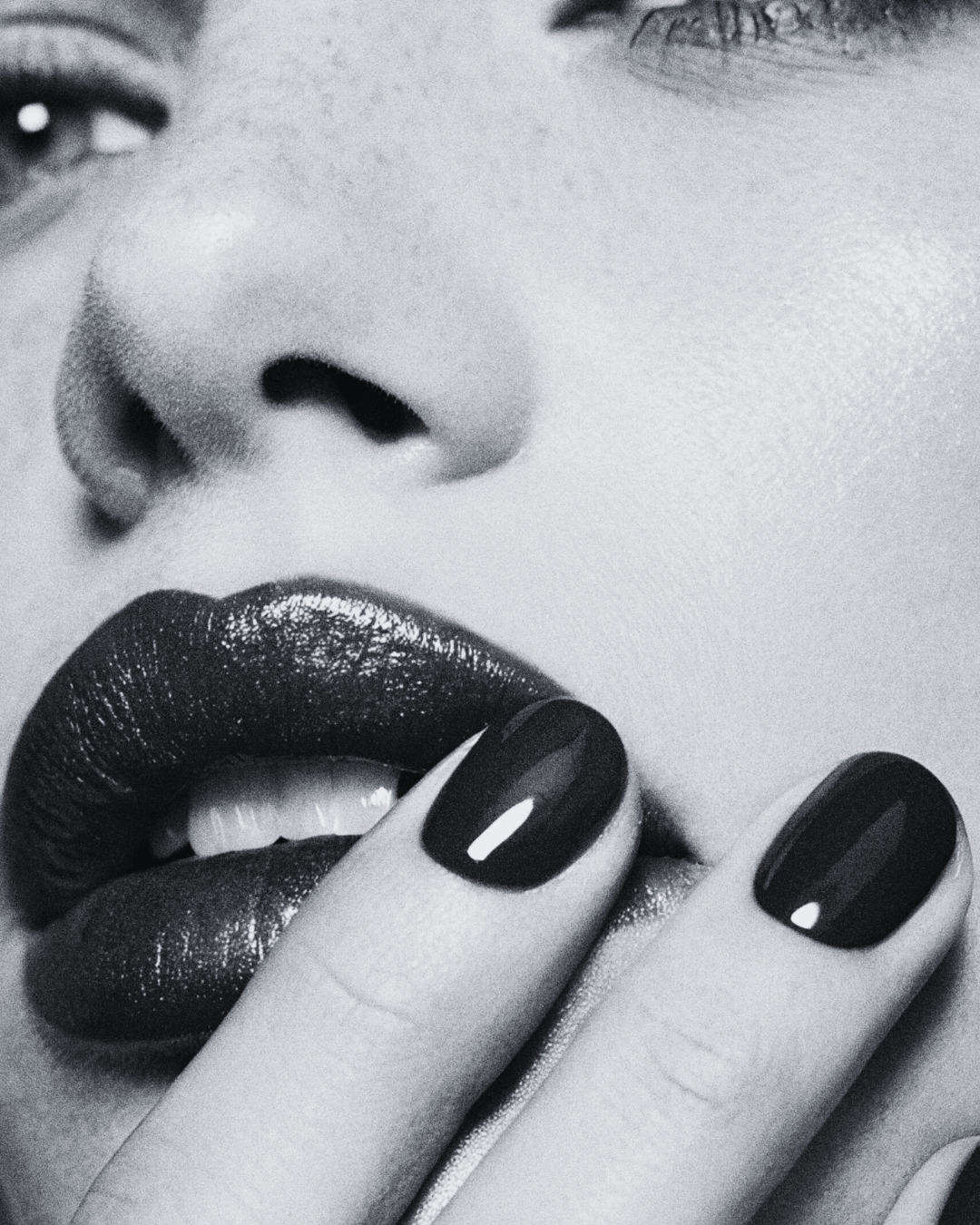 collectivelee11 (1).png