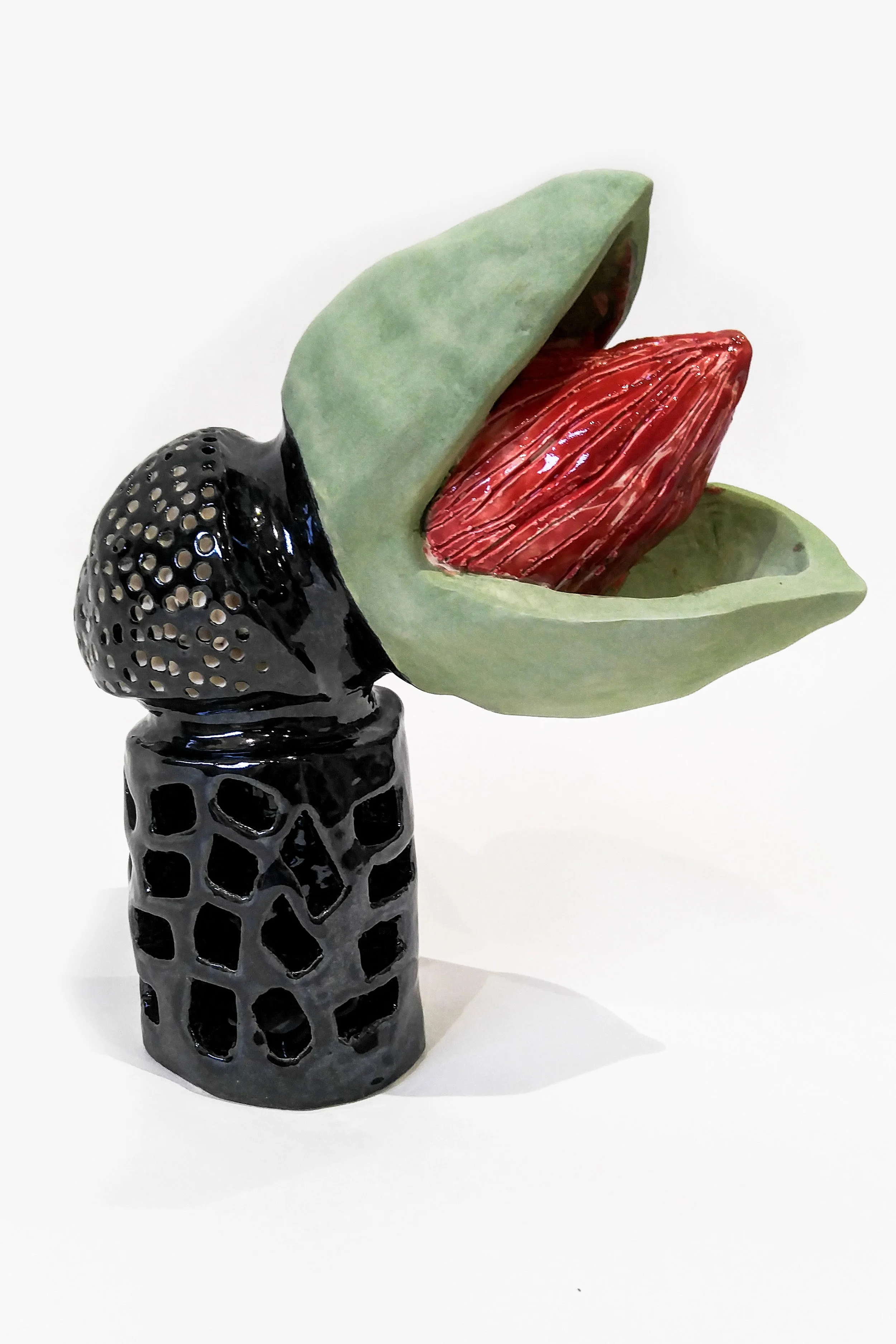 Biomorphism_Plant_side.jpg