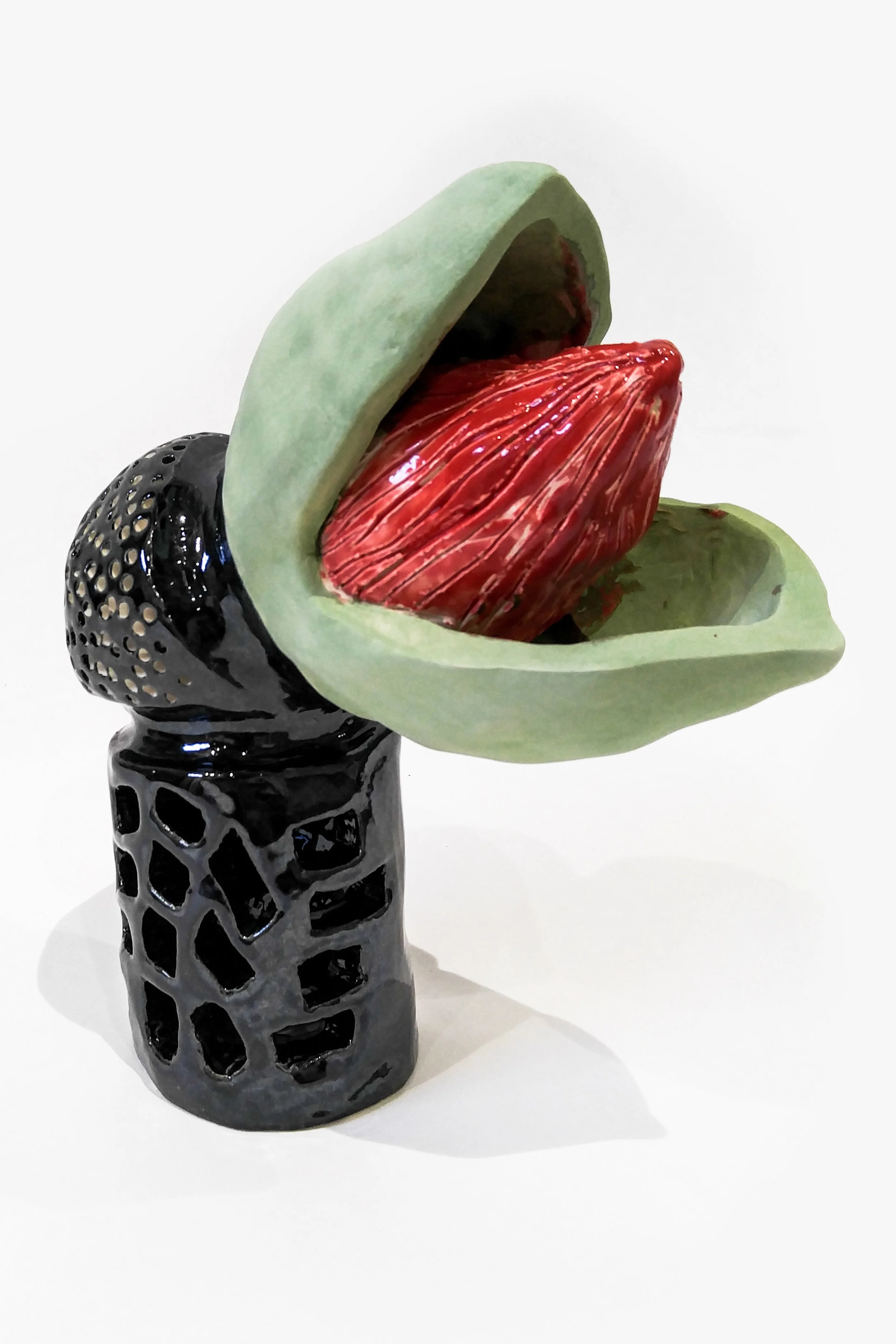 Biomorphism_Plant_side_angled.jpg