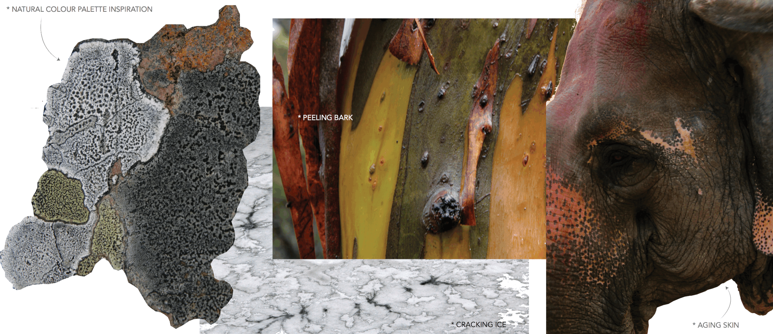 process collage 2-iloveimg-compressed.gif