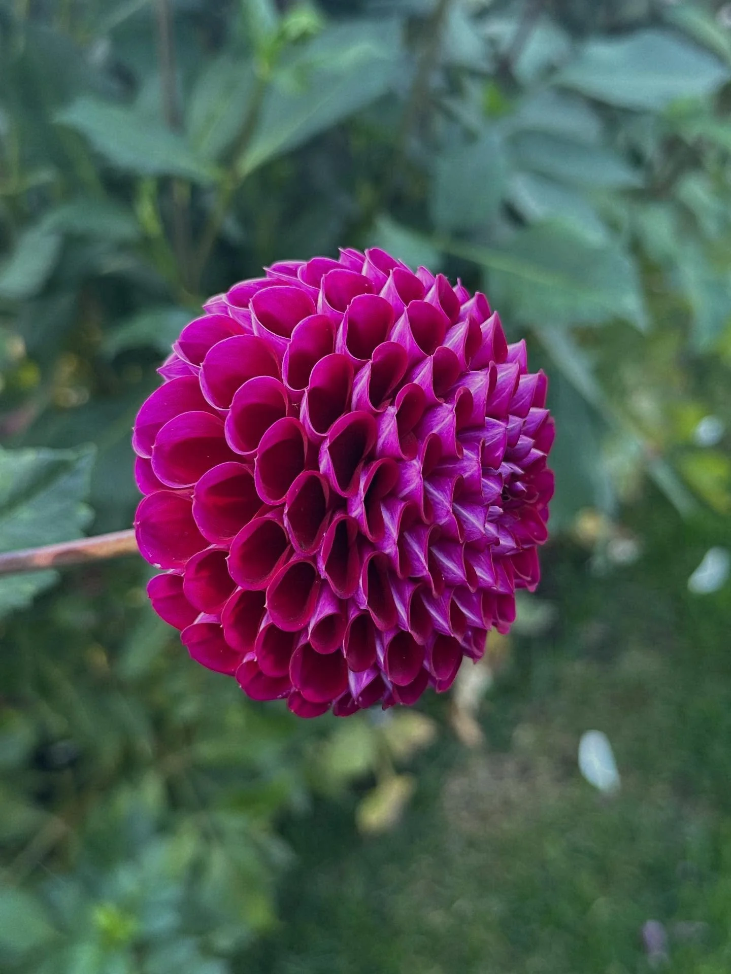 Enjoy the beauty around you today.