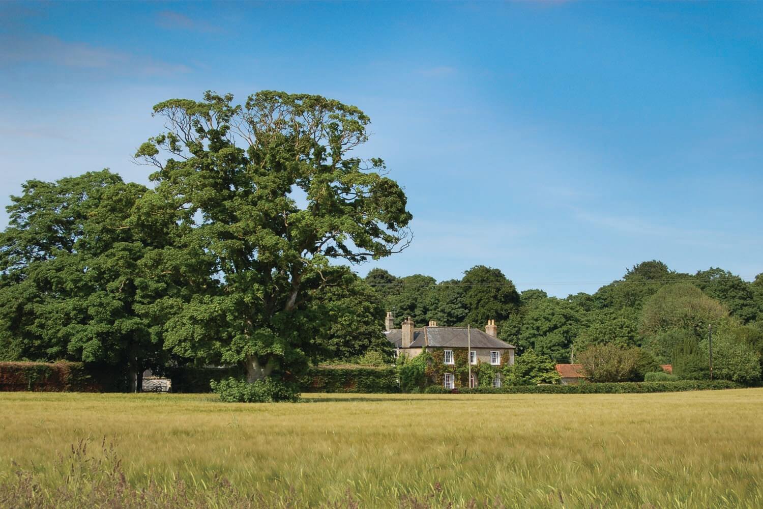 St John S Farm Oak Tree Cottage