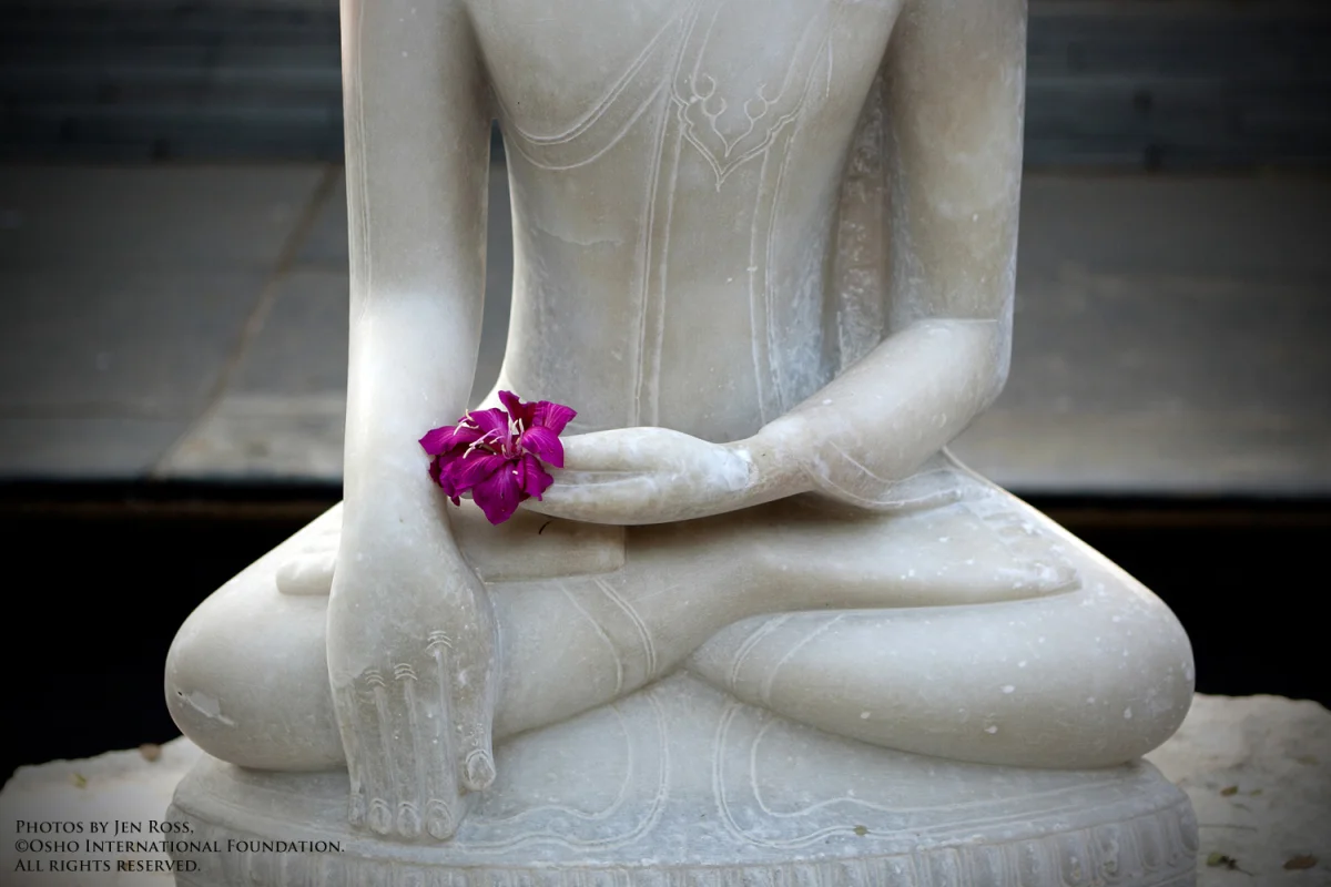 woman in white yoga waterfall.jpg