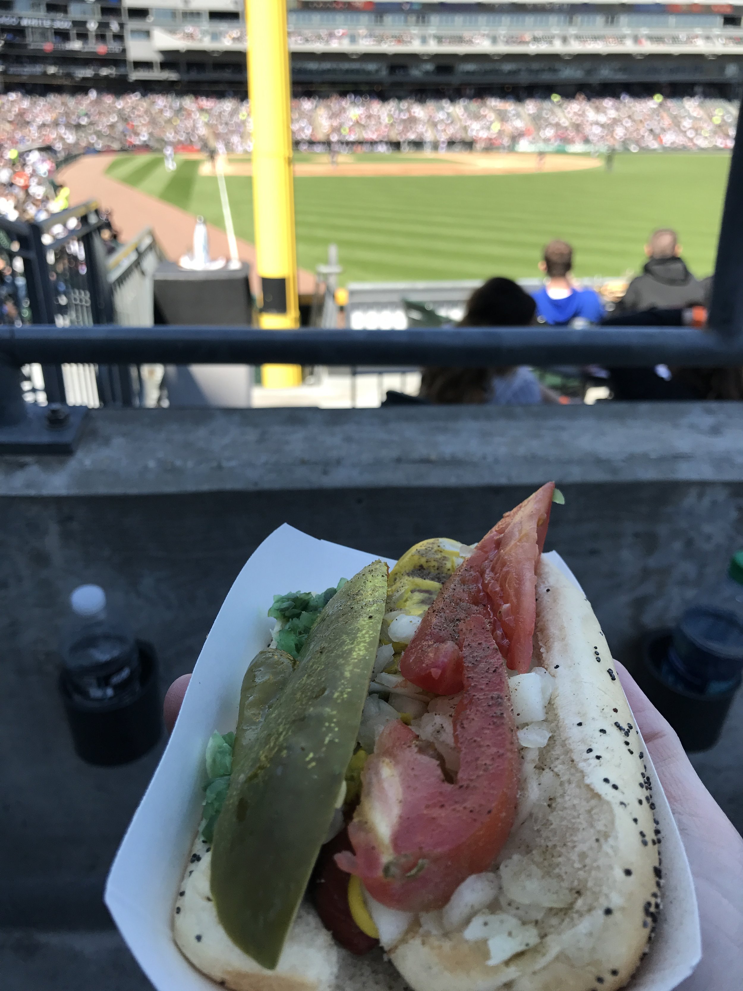  Chicago dog at the White Sox game. 