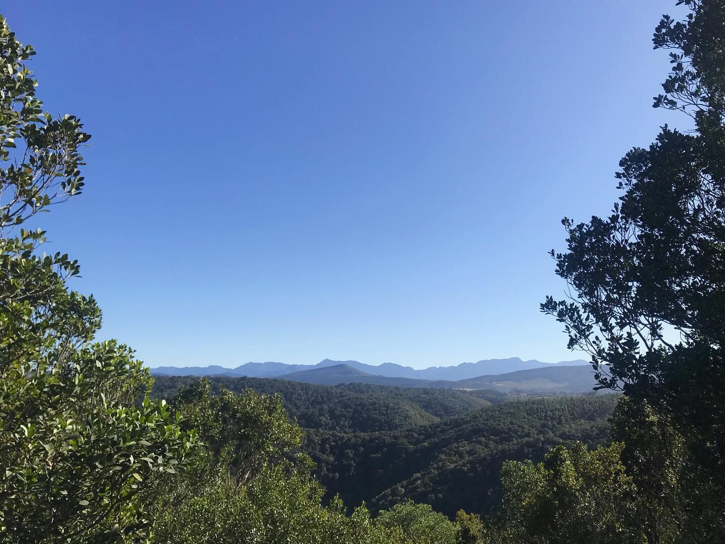 The view from Moonshine on Whiskey Creek... 🌳🌳🌳❤️