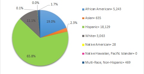 *The following set of graphs describes what percentage of each enrolled subgroup was disciplined at least once.