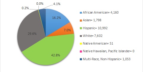 *The following set of graphs describes what percentage of each enrolled subgroup was disciplined at least once.