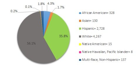 *The following set of graphs describes what percentage of each enrolled subgroup was disciplined at least once.