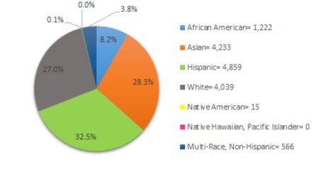 *The following set of graphs describes what percentage of each enrolled subgroup was disciplined at least once.
