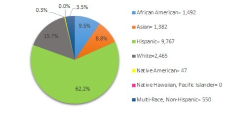 *The following set of graphs describes what percentage of each enrolled subgroup was disciplined at least once.