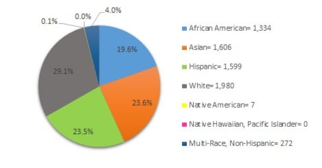 *The following set of graphs describes what percentage of each enrolled subgroup was disciplined at least once.