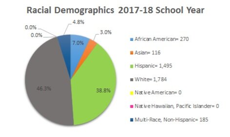 *The following set of graphs describes what percentage of each enrolled subgroup was disciplined at least once.