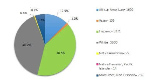 *The following set of graphs describes what percentage of each enrolled subgroup was disciplined at least once.