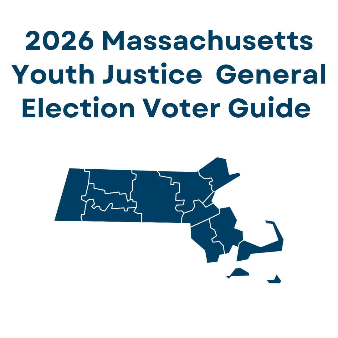 General Voter Guide icon.png