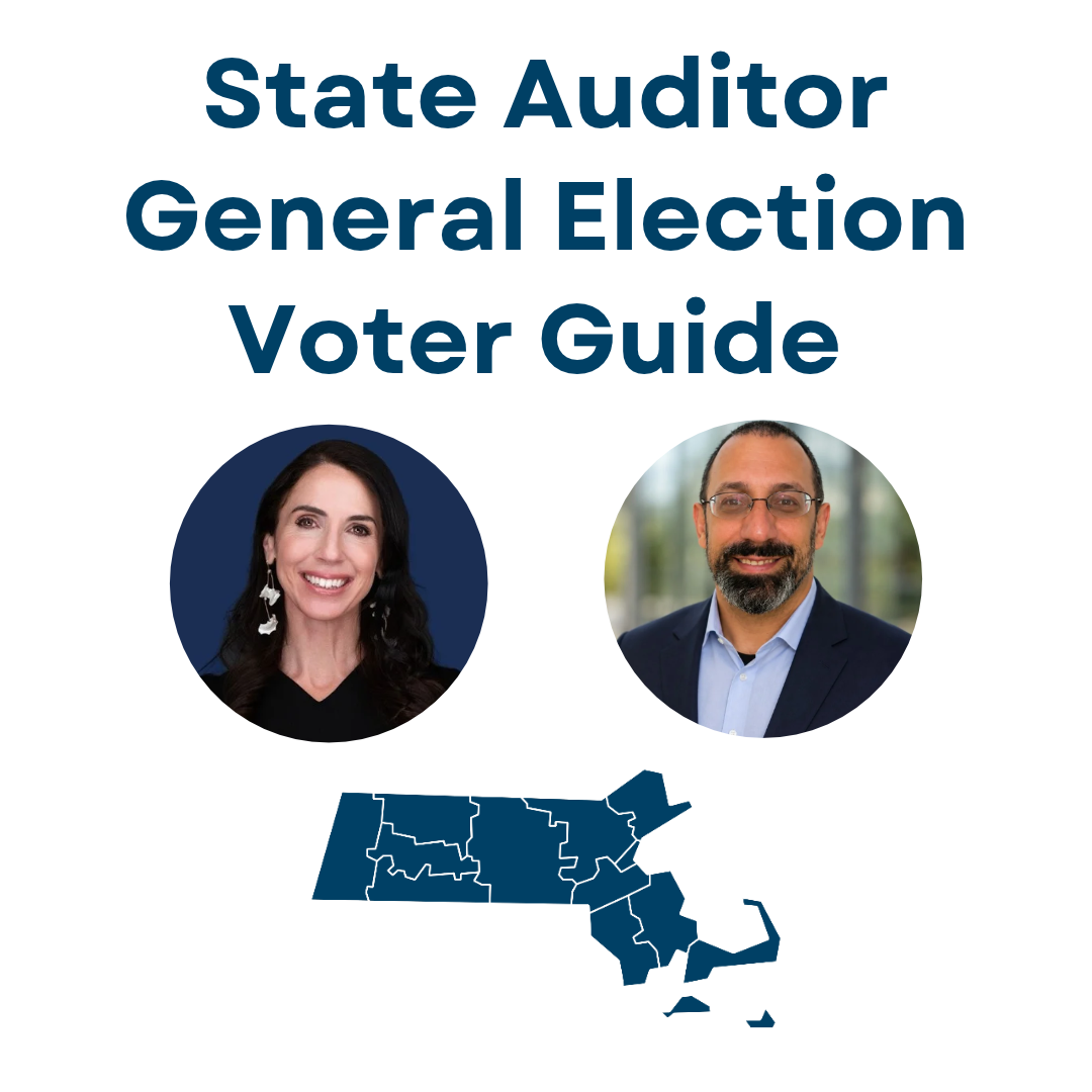 State Auditor icon.png