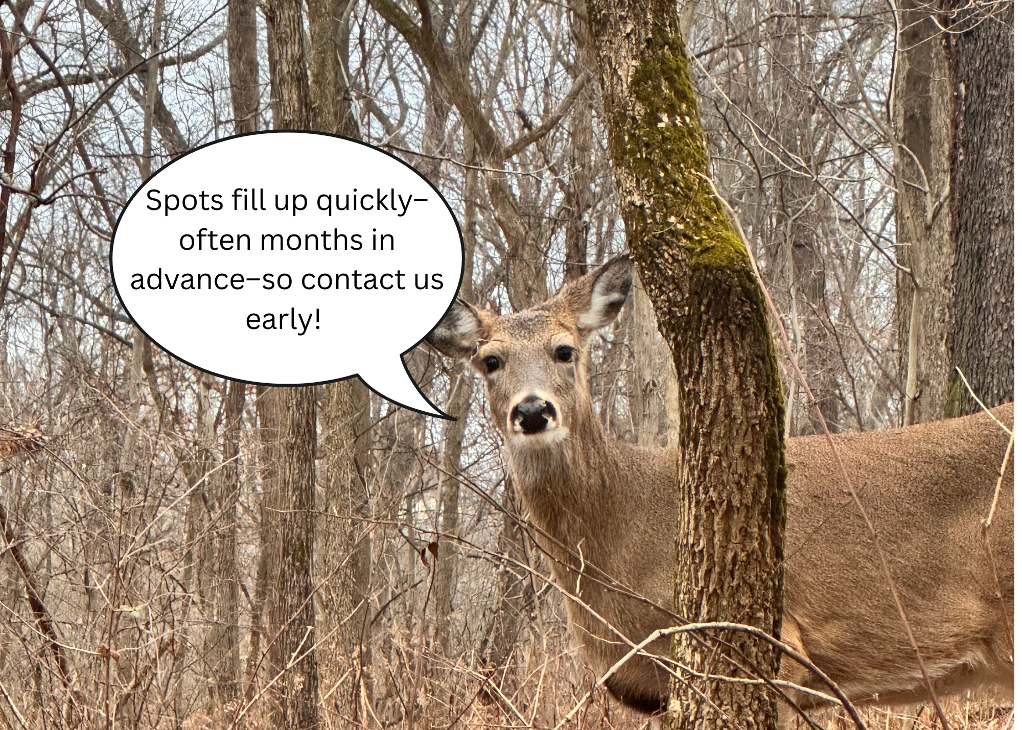 Spots fill up quickly–often months in advance–so contact us early!.png