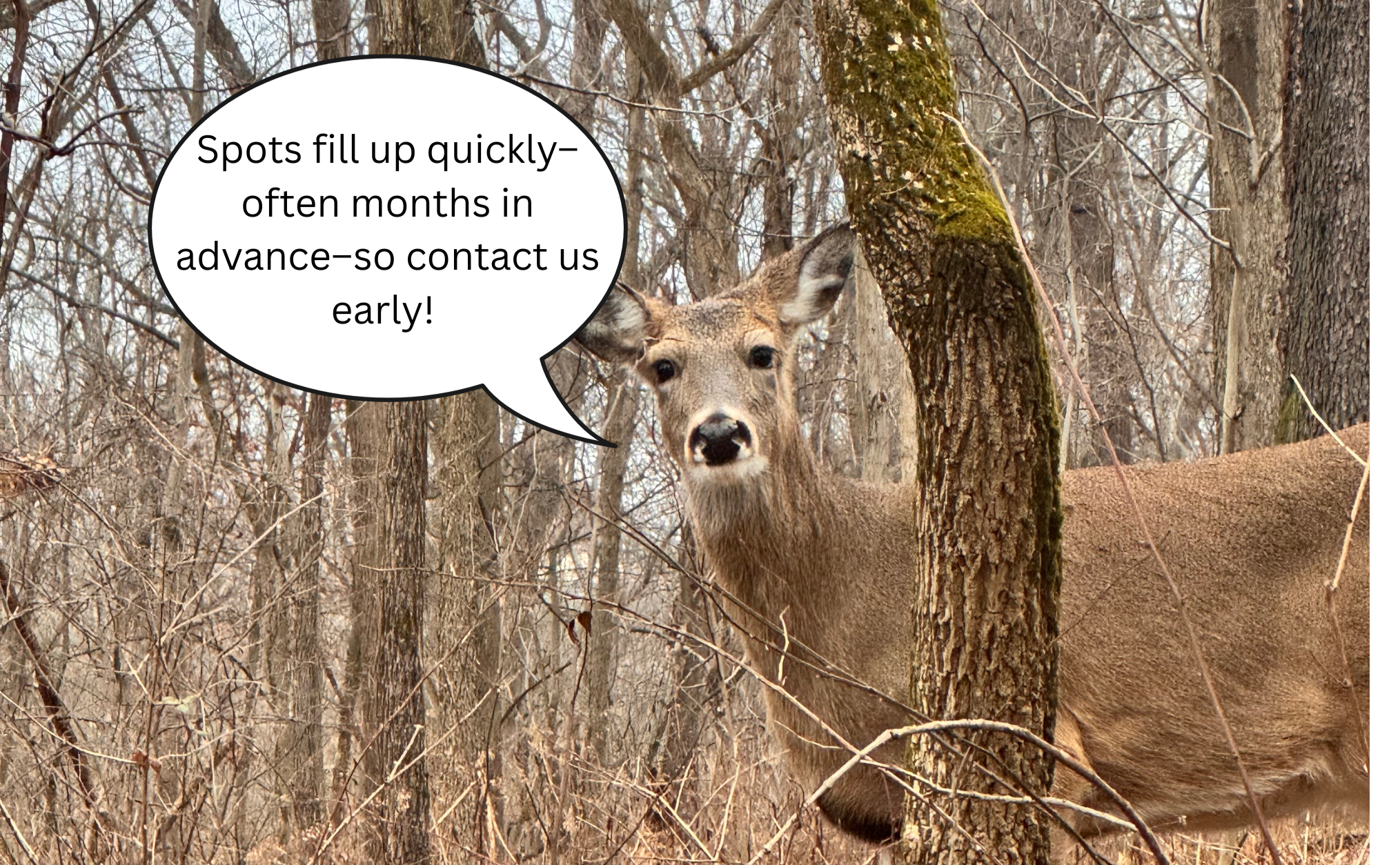 Spots fill up quickly–often months in advance–so contact us early!.png