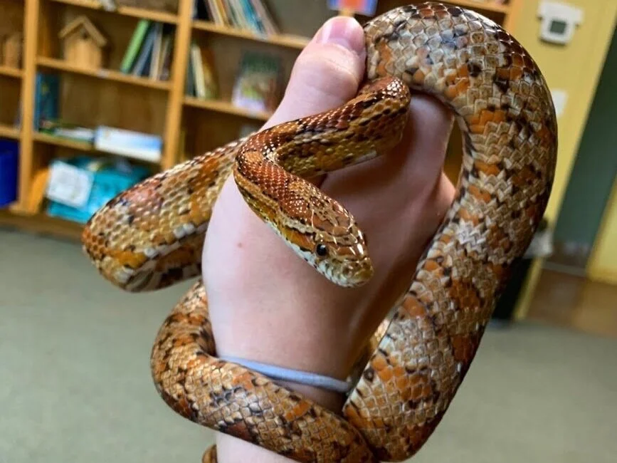 Rentals & Birthday Parties — Louisville Nature Center