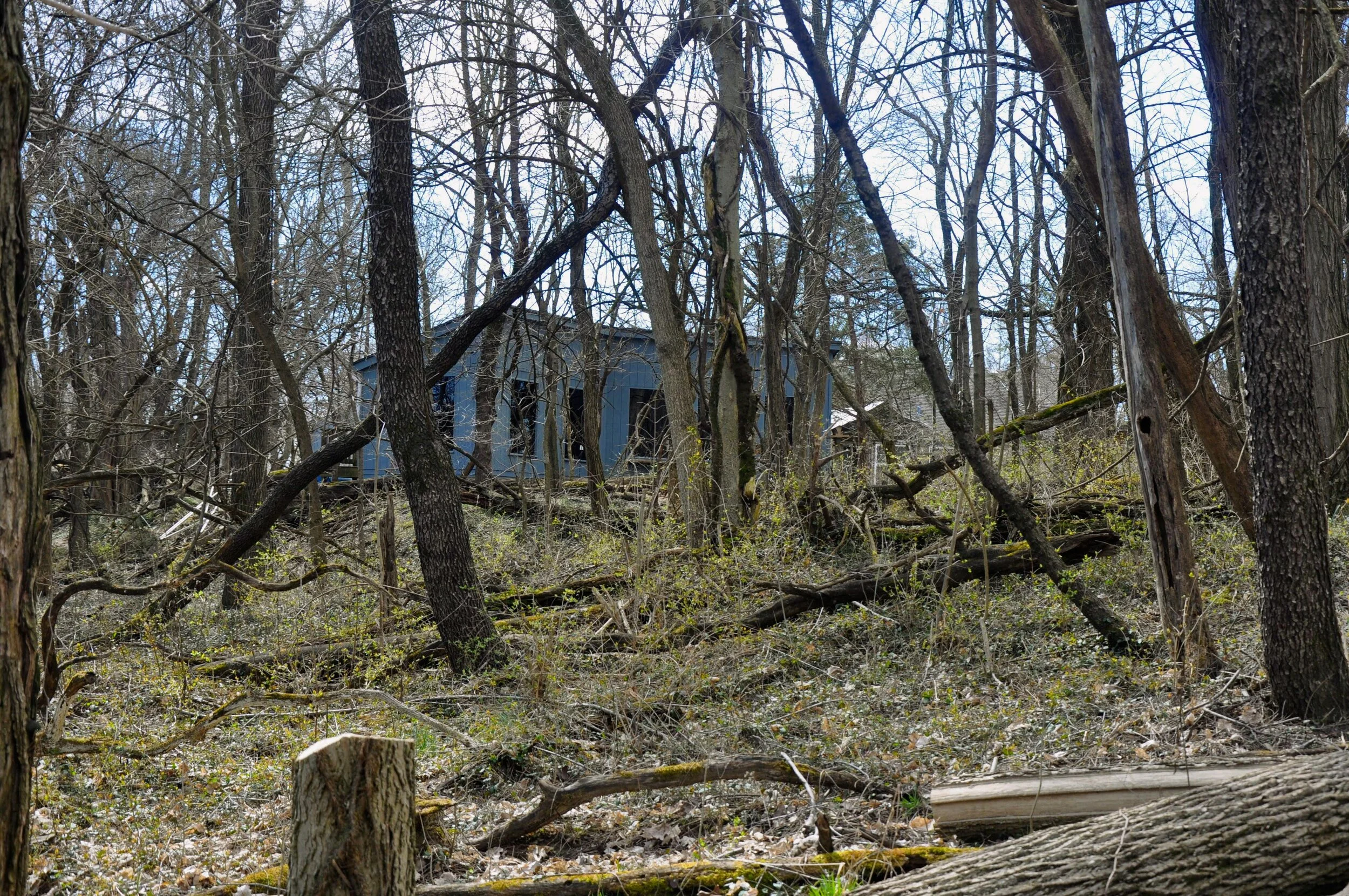 DSC_0605.JPG