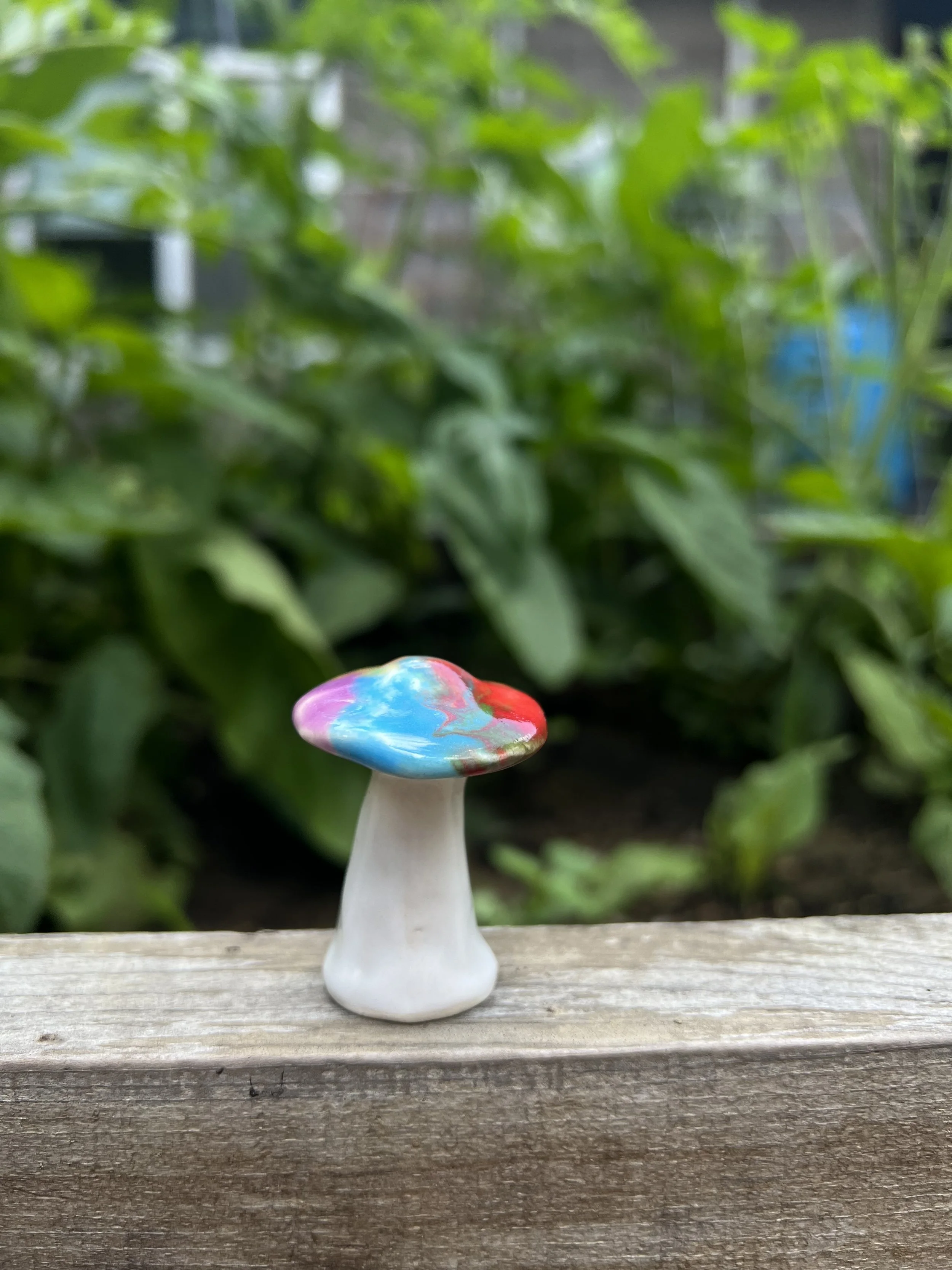 rainbow mushroom.jpeg