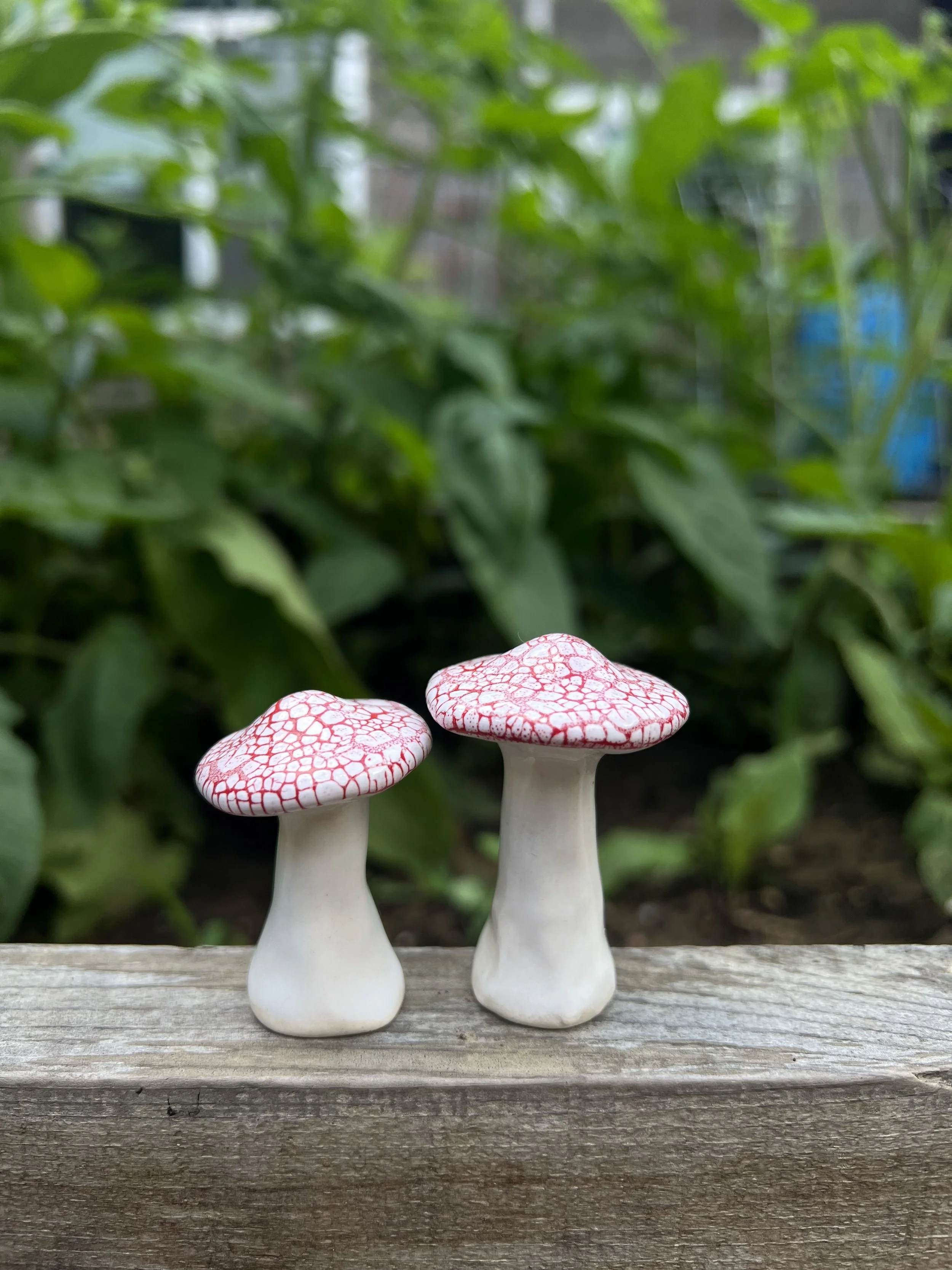 red speckled mushroom.jpeg