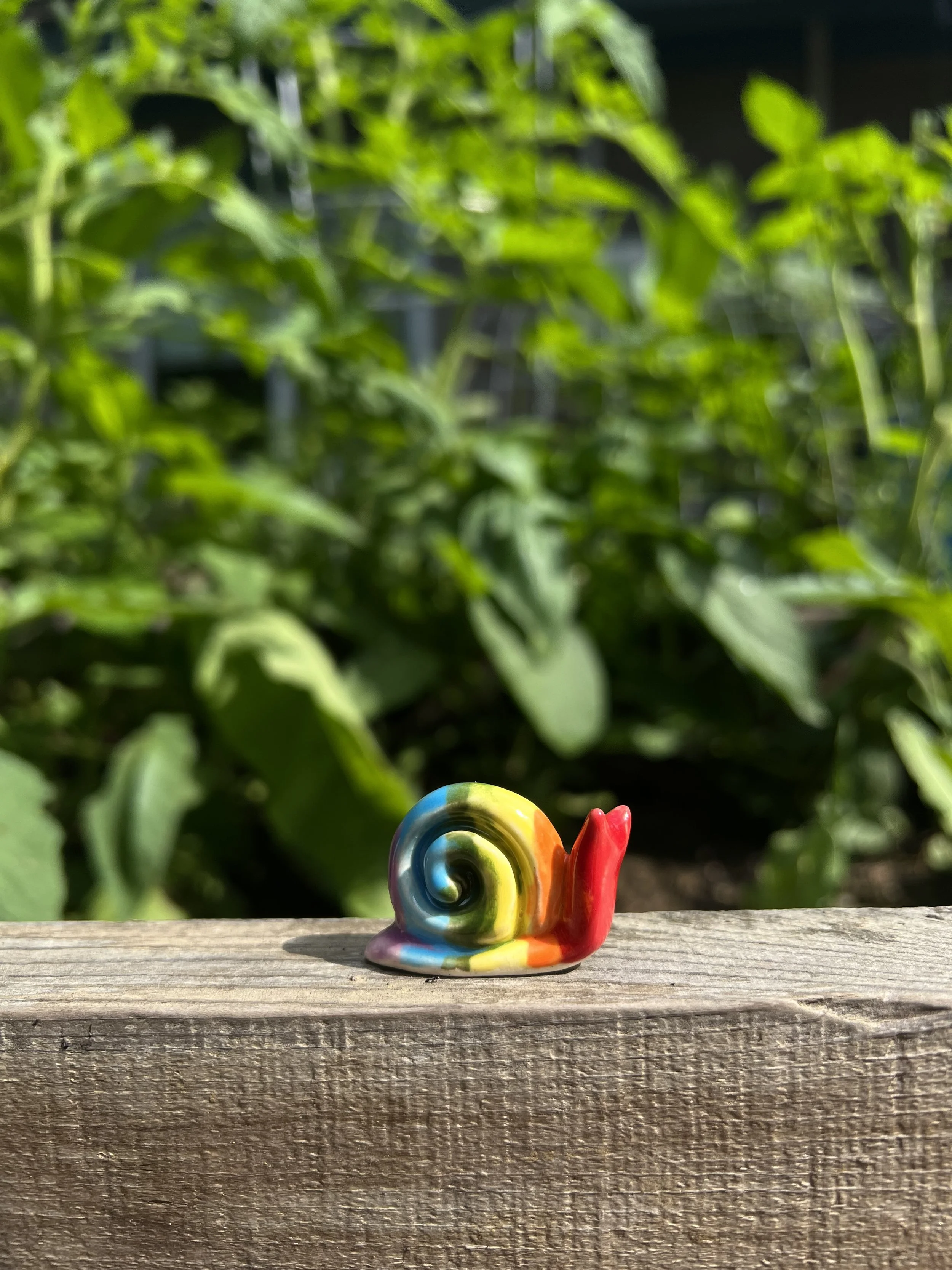 rainbow snail.jpeg