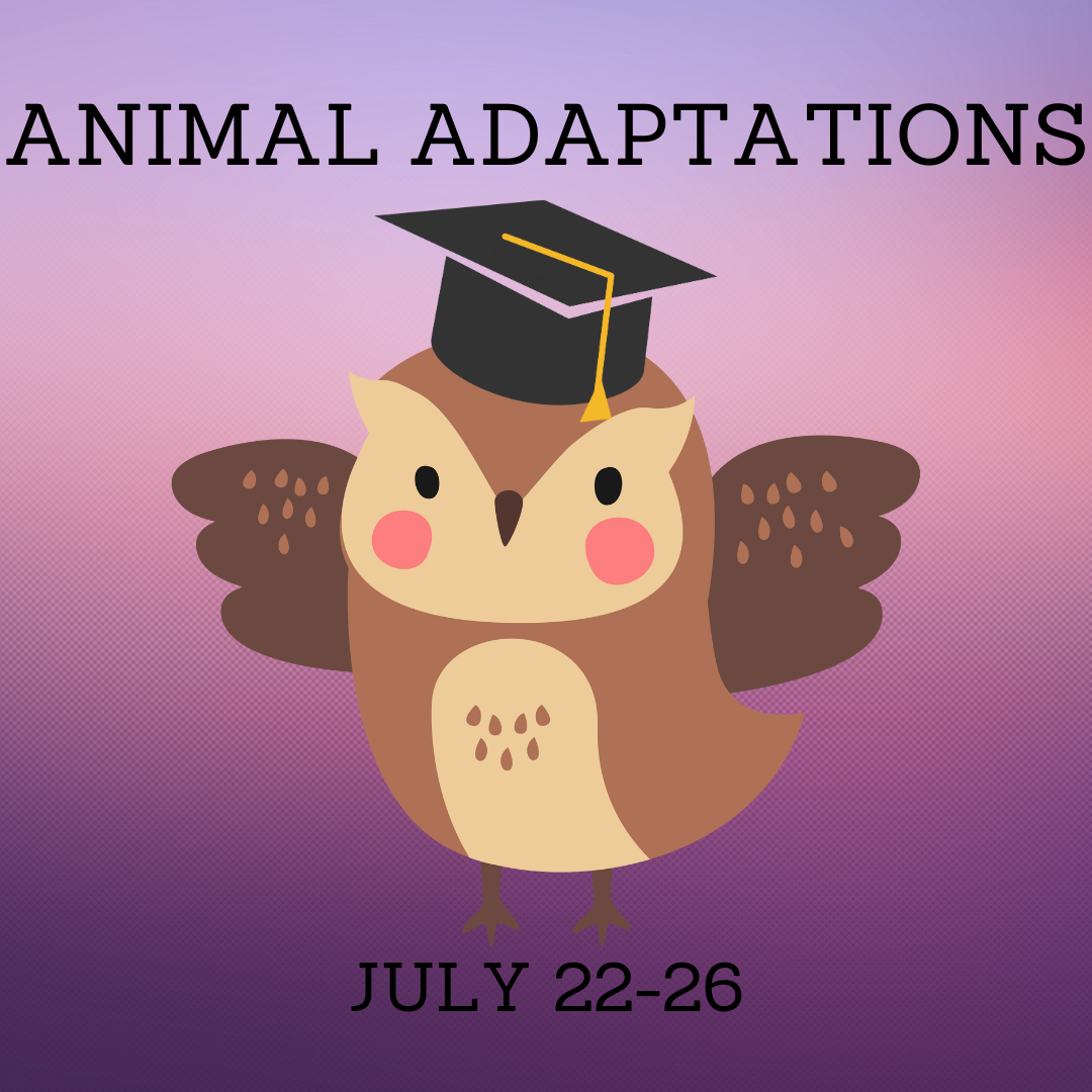 Animal Adaptations.png