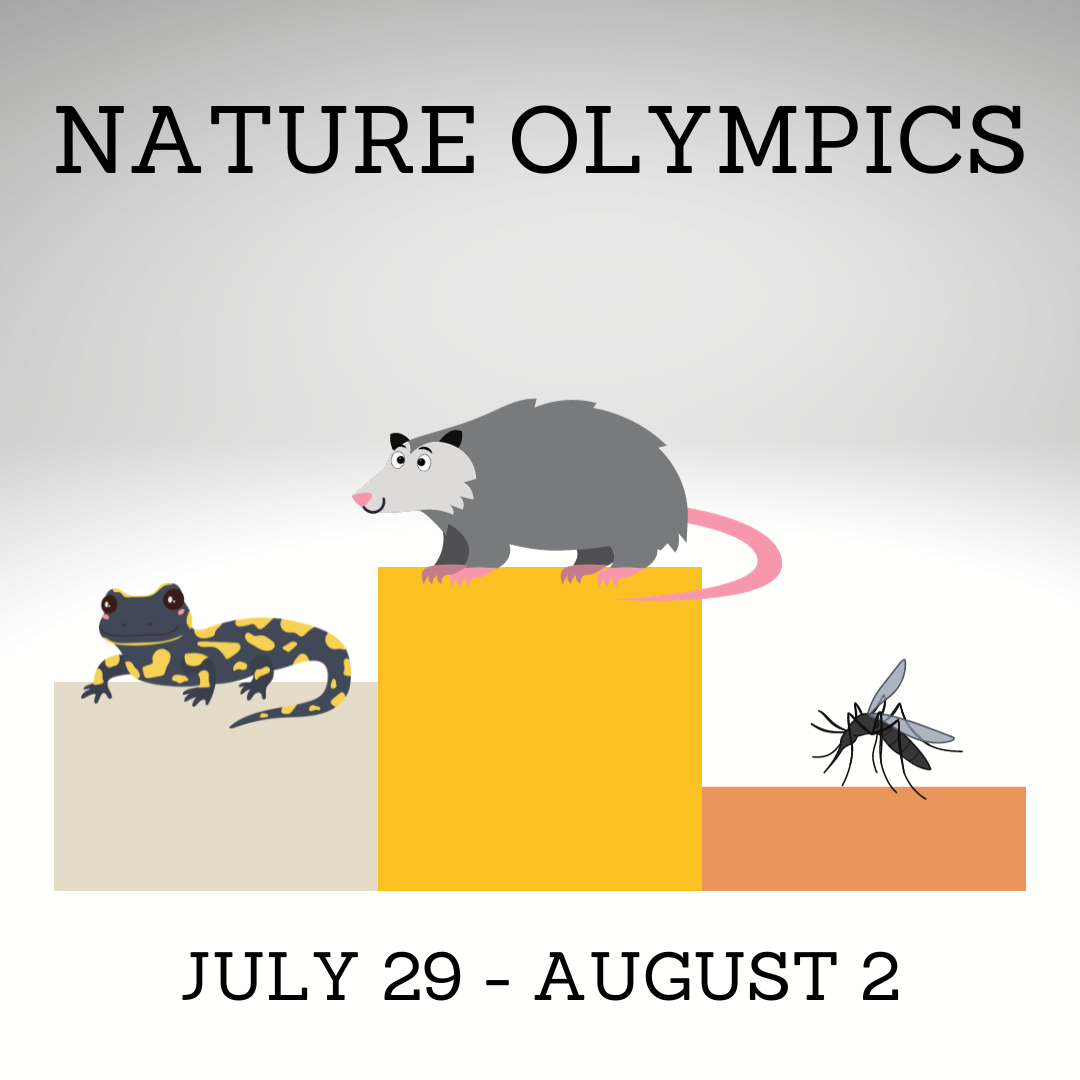 Nature Olympics.png