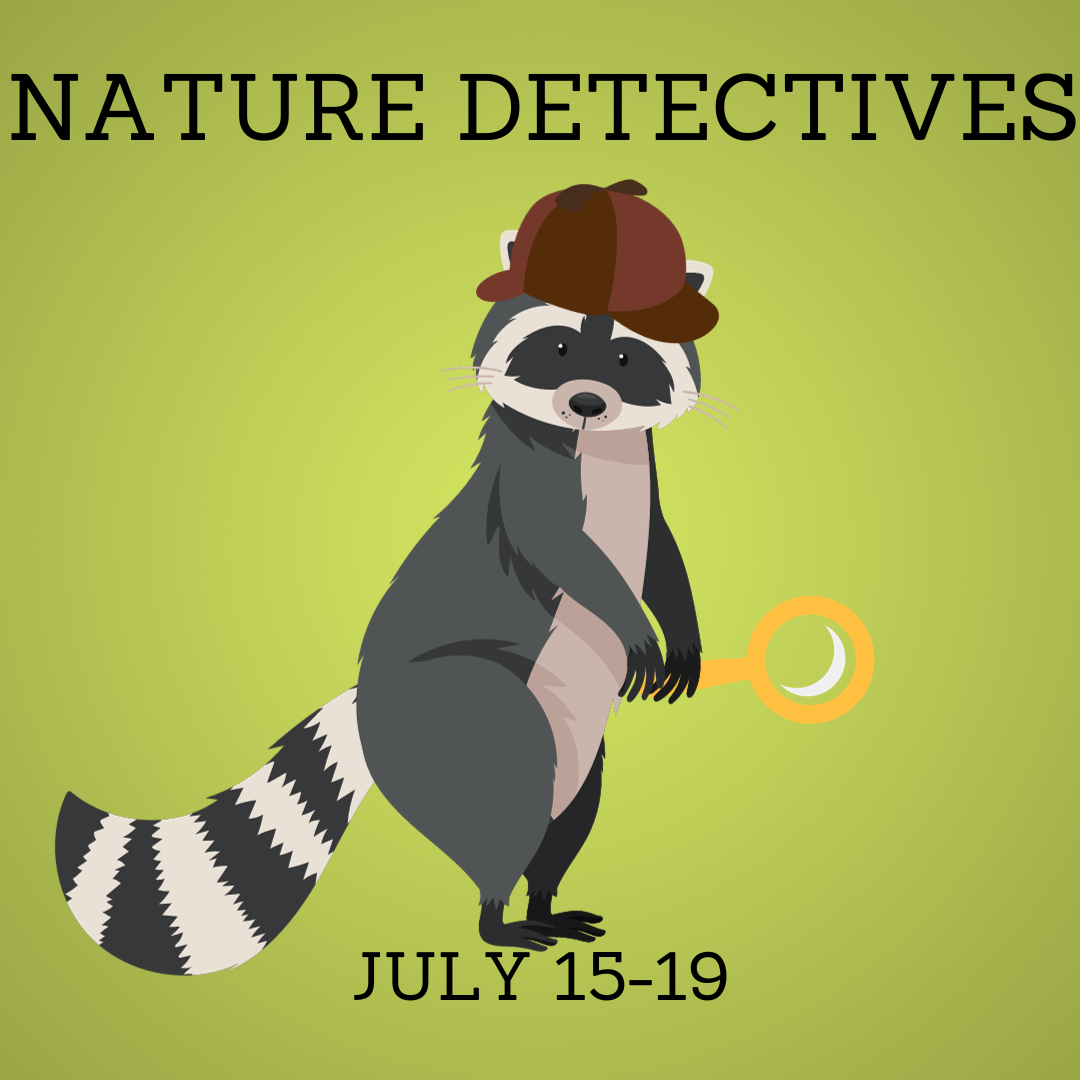 Nature Detectives.png