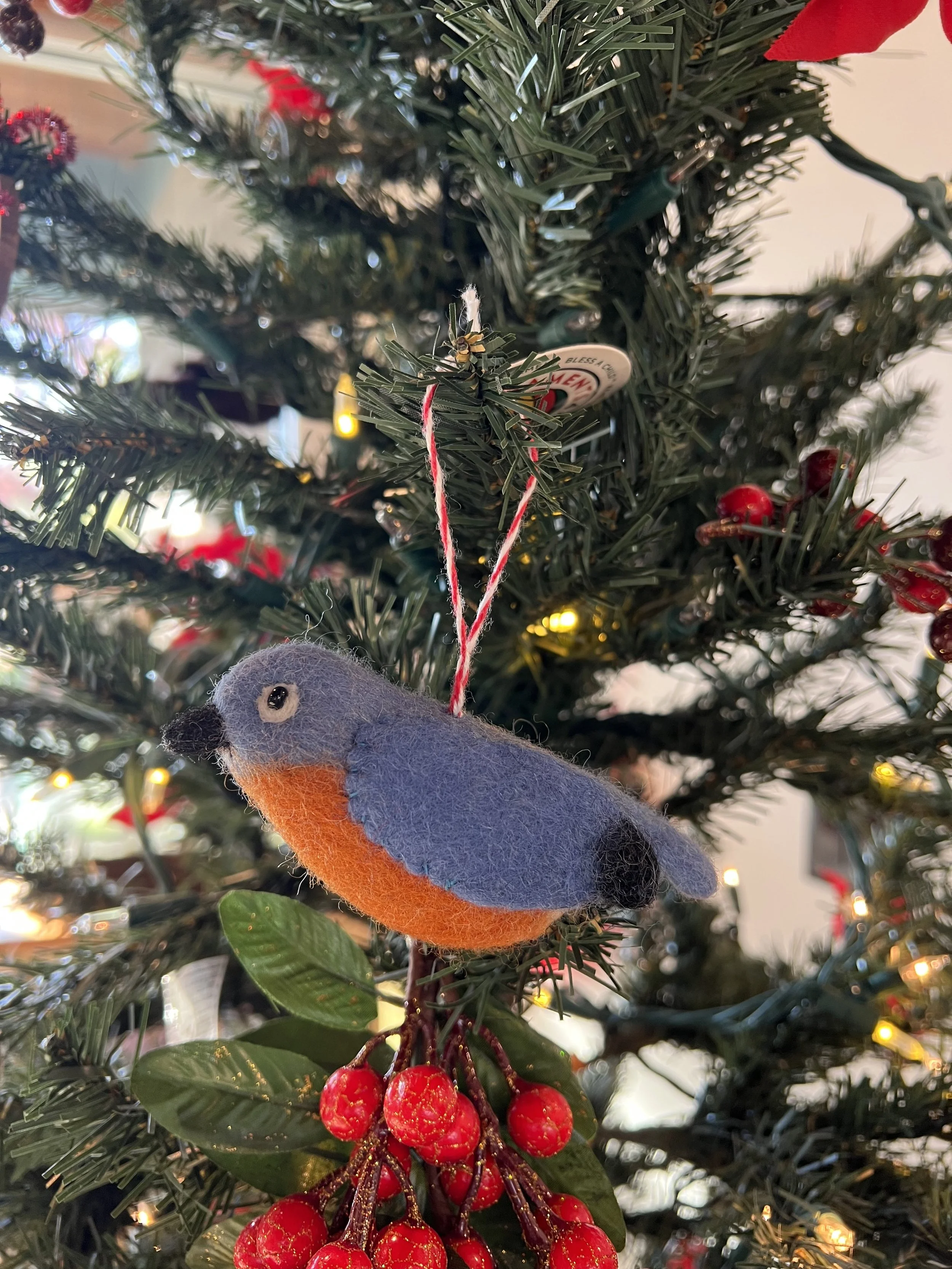 Robin ornament.jpeg