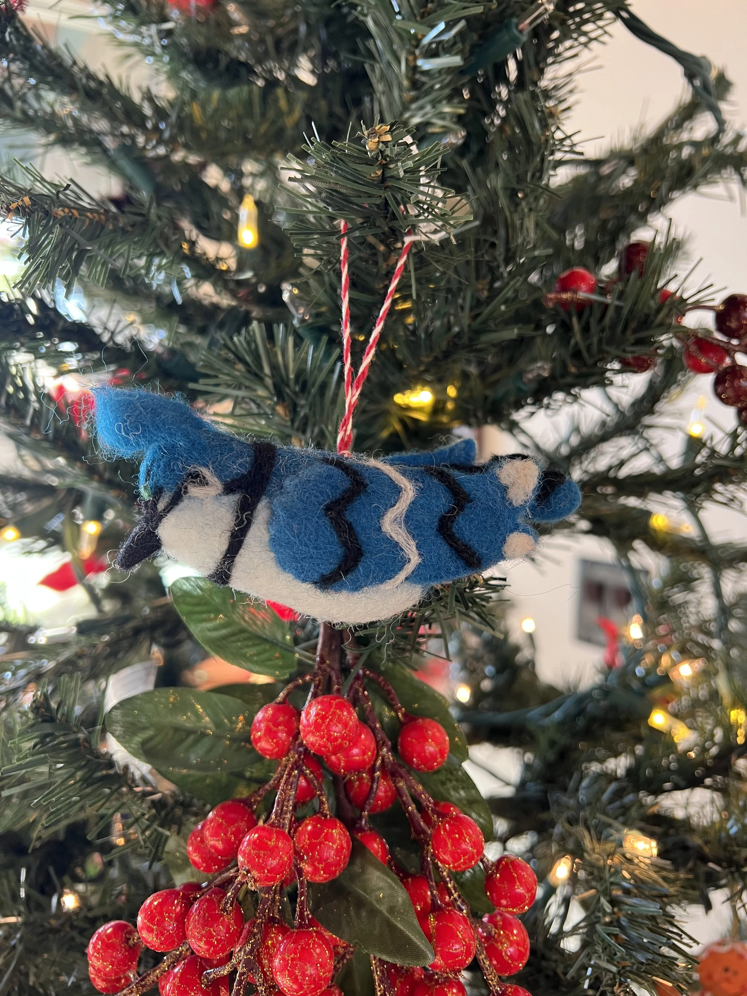Blue Jay ornament.jpeg
