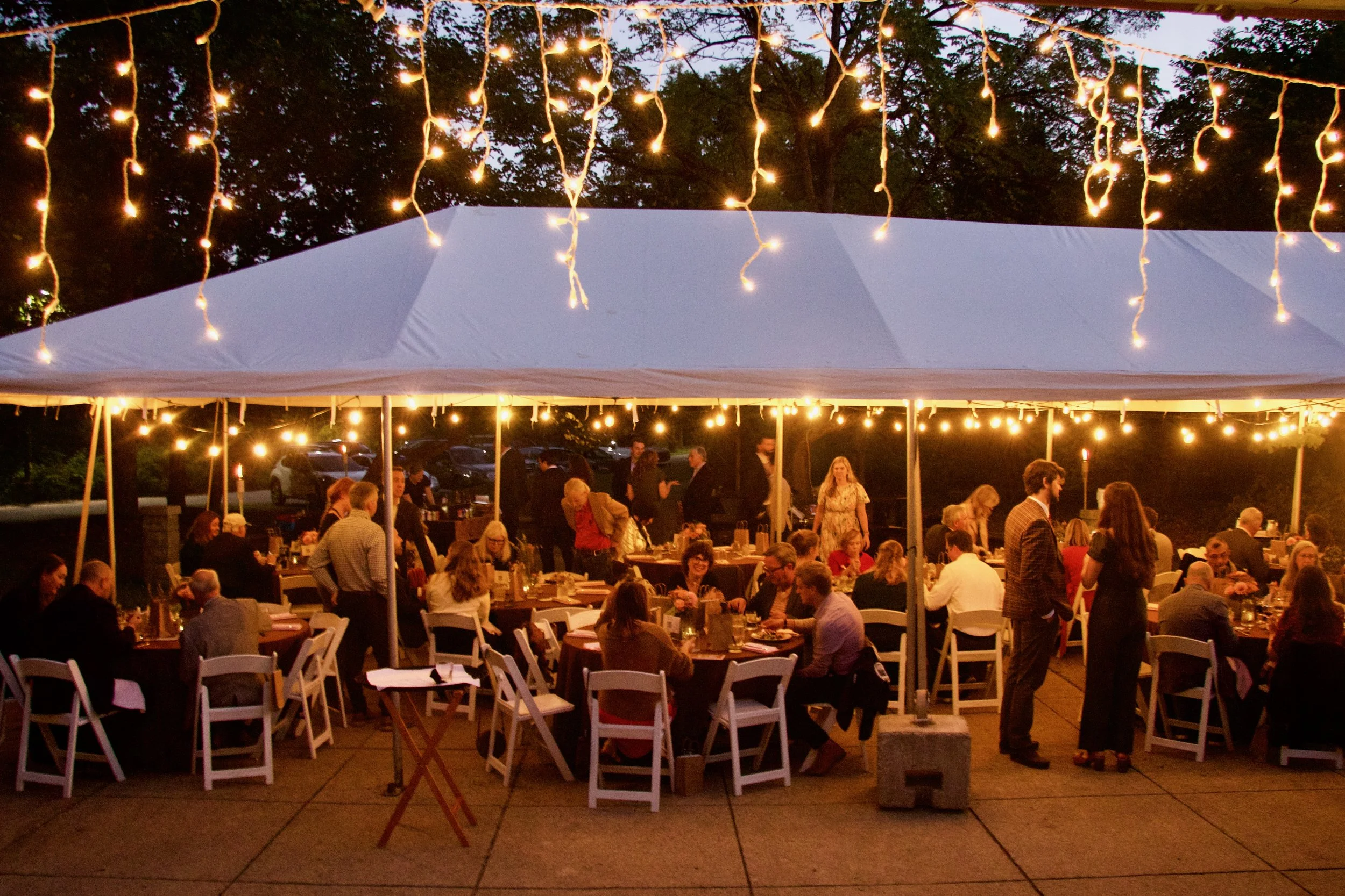 Imports - 3 of 6.jpeg