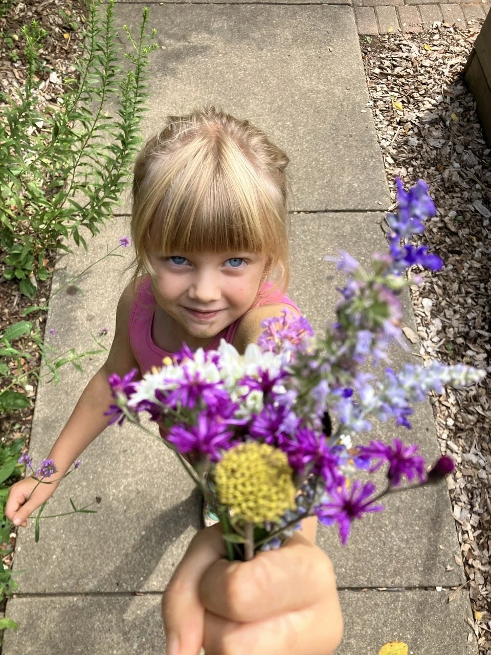 Swallowtail Forest School 25-26-MWF-71401829840 - Copy.jpg