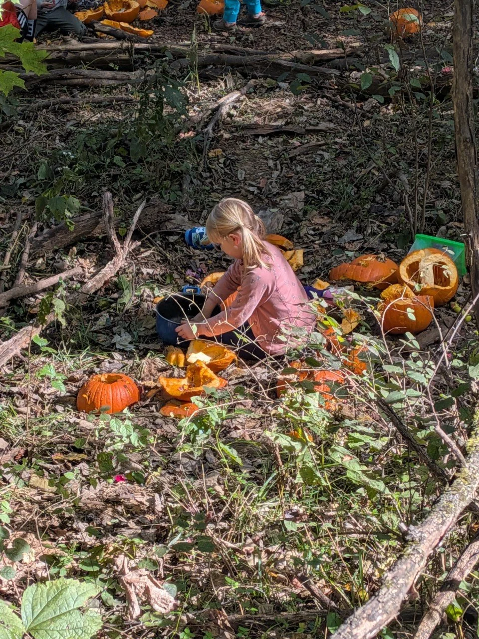 Swallowtail Forest School 25-26-MWF-72745488517 - Copy.jpg