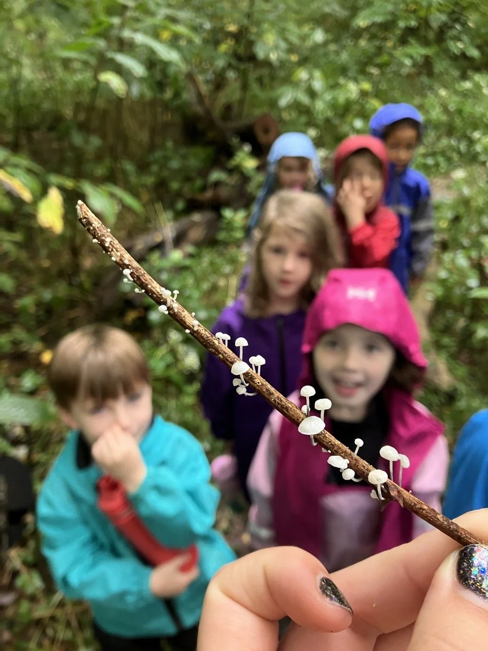 Swallowtail Forest School 25-26-T_Th AM-72225279467.jpg