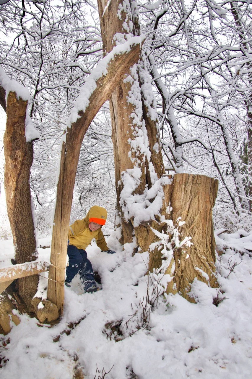 Swallowtail Forest School 25-26-T_Th AM-73964159570.jpeg