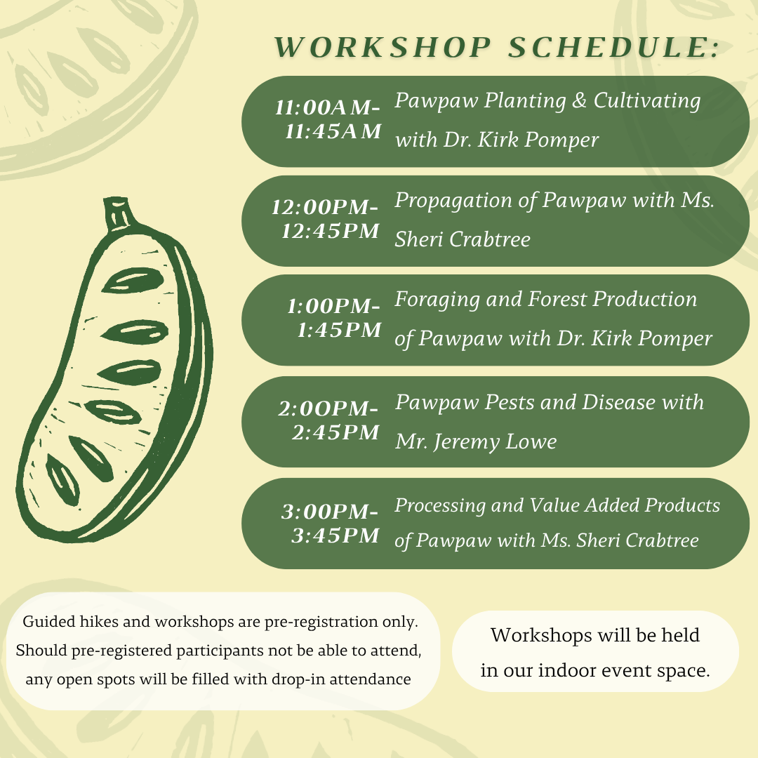 2026 Workshops.png