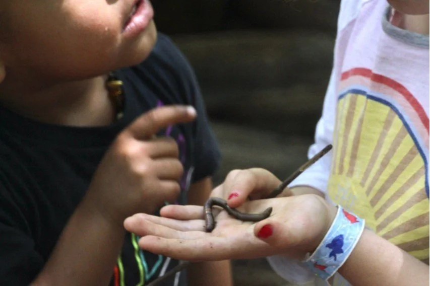 Swallowtail Forest School '22-'23-All photos-43947023949.jpg
