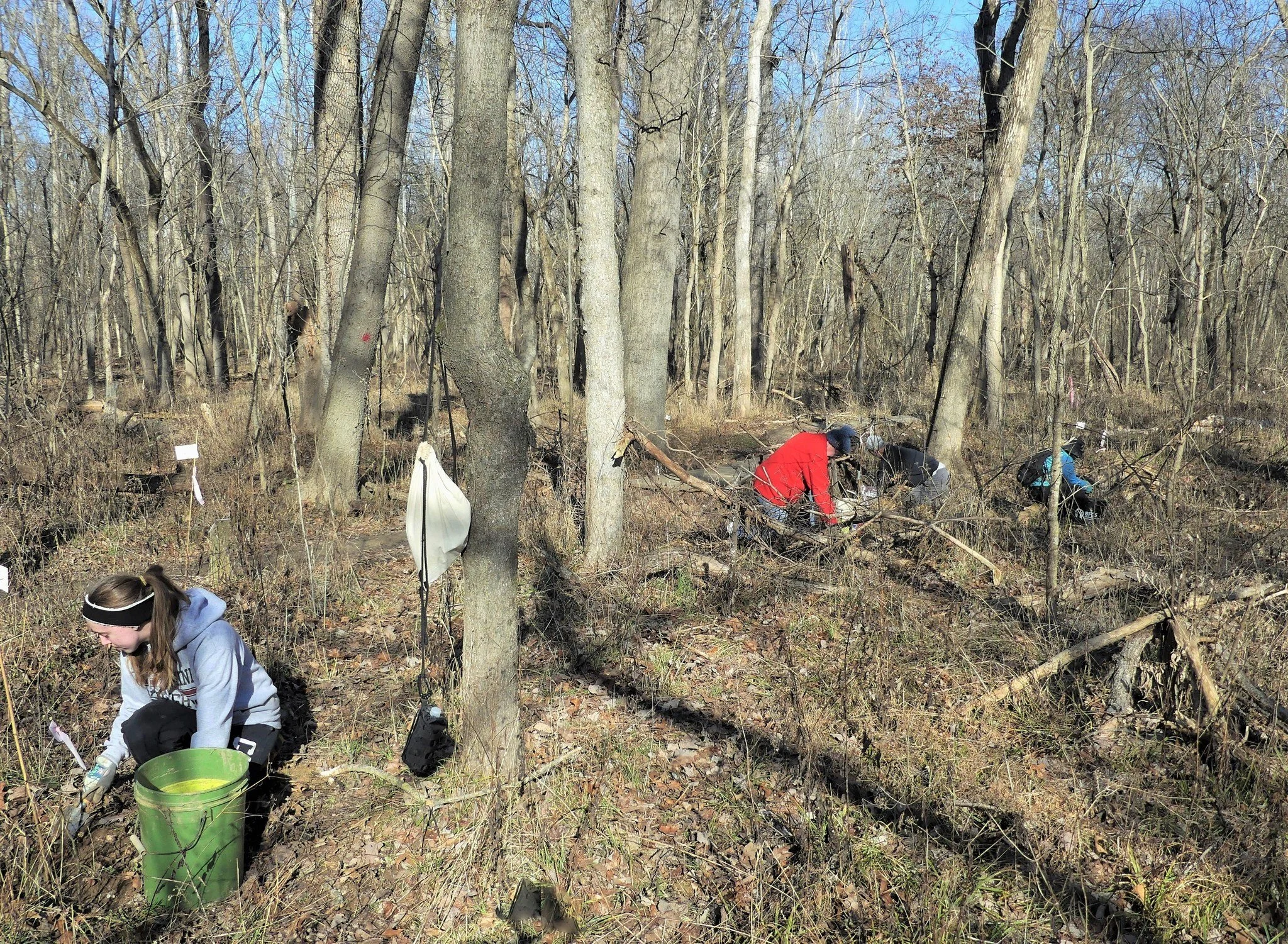 Forest Stewards planting.jpg