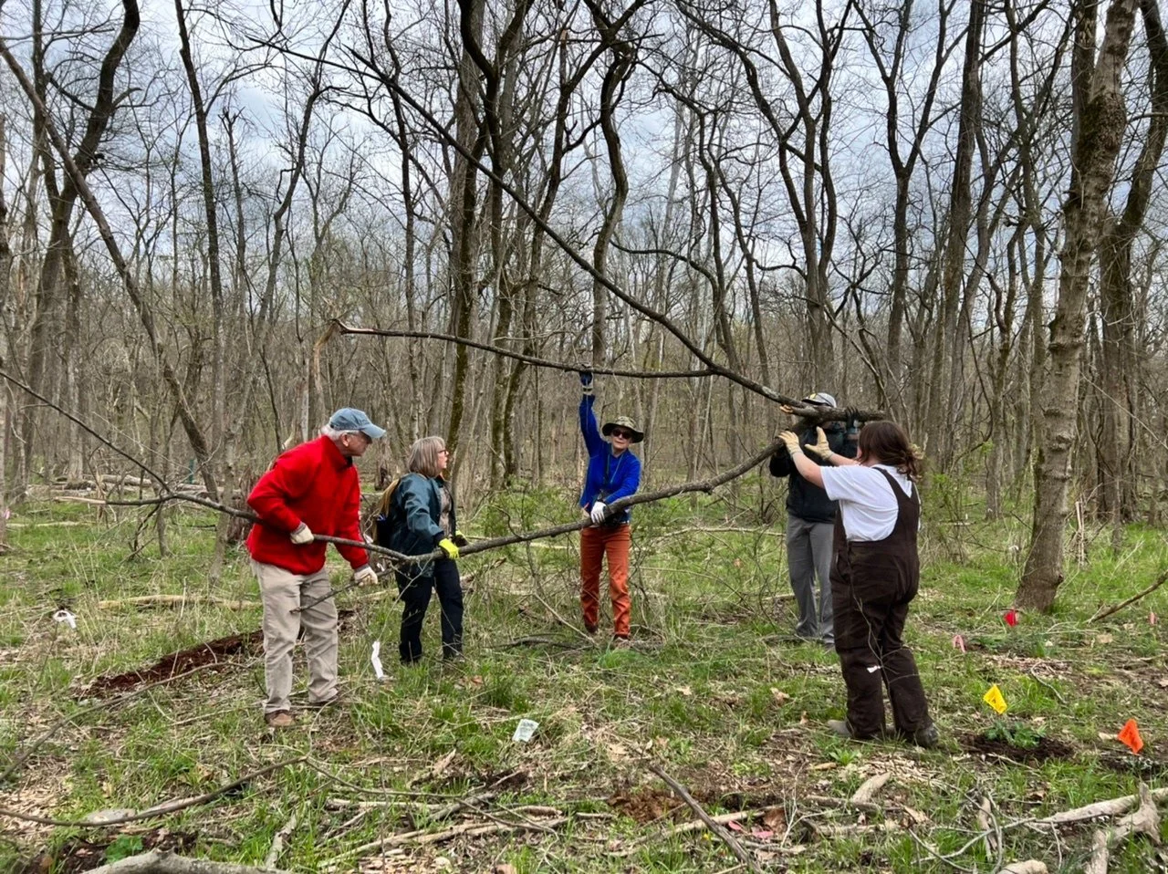 Forest Stewards.jpg