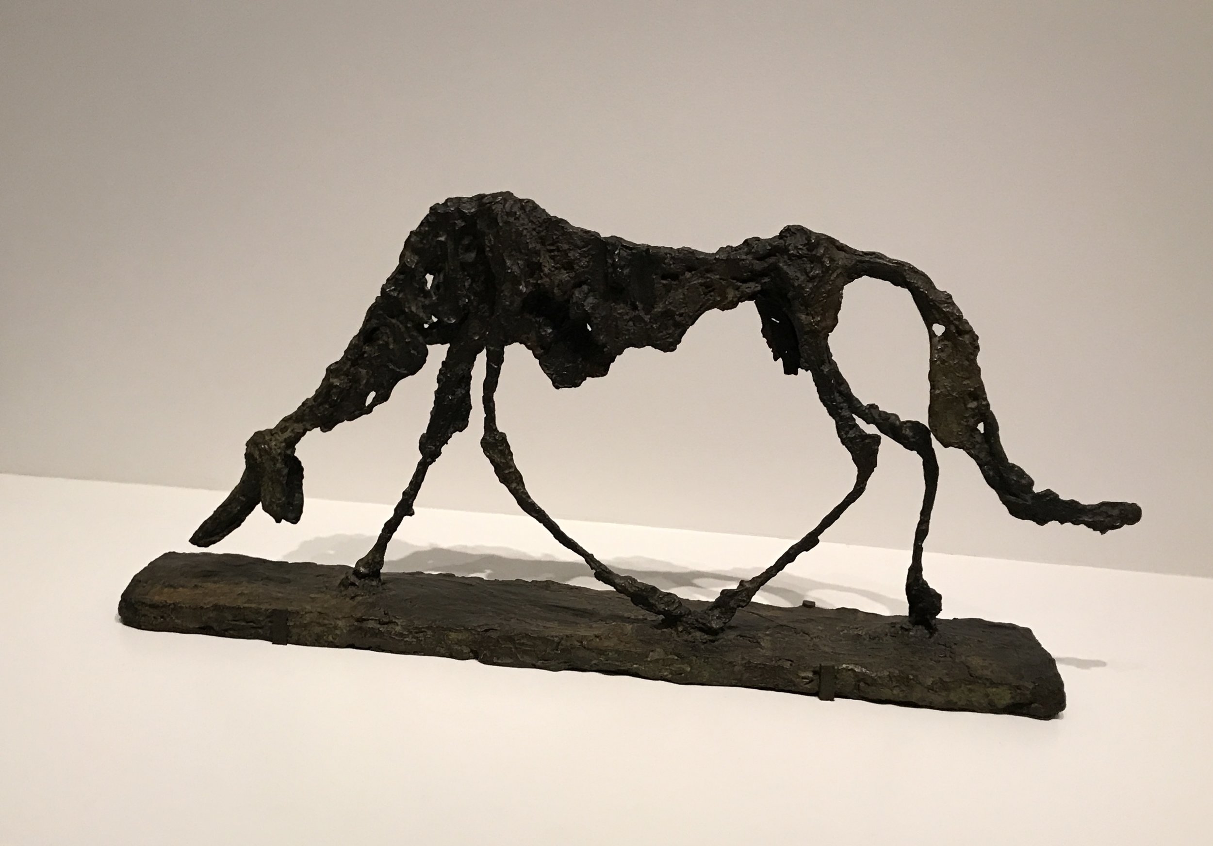 le chien - Giacometti