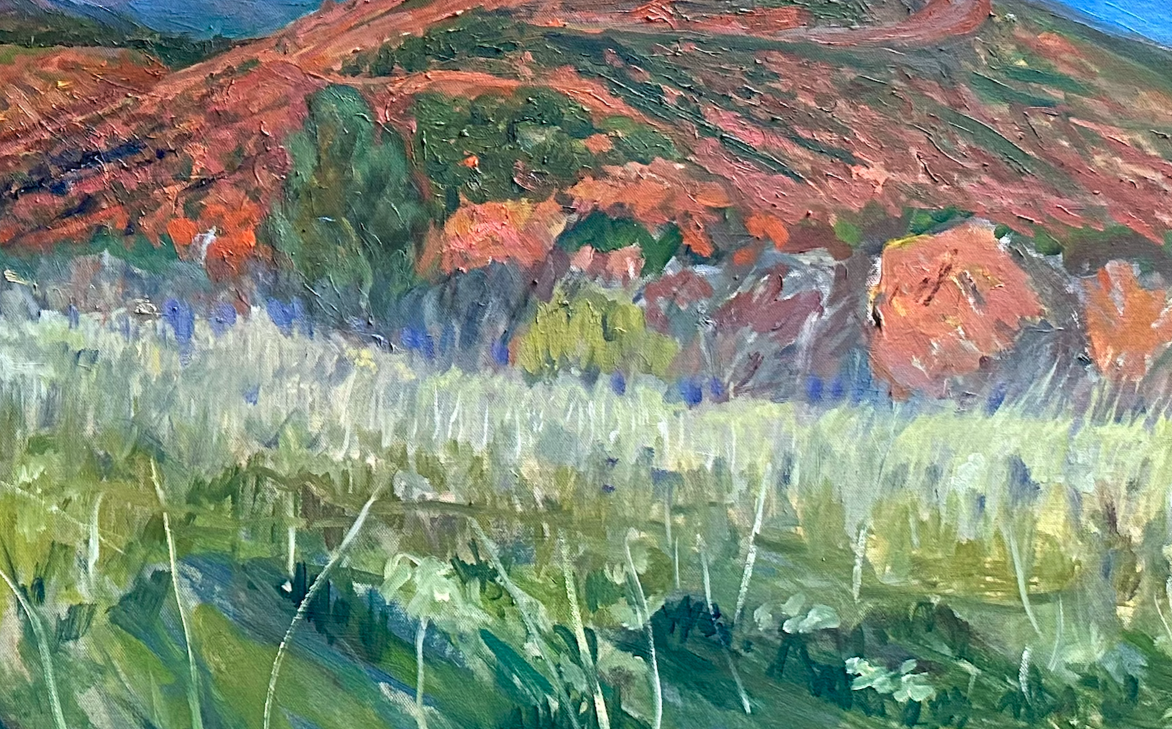 Screen Shot 2022-11-27 at 7.09.41 AM.png